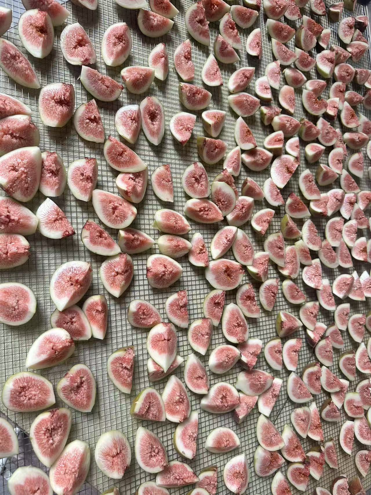 烘干技术生产车间