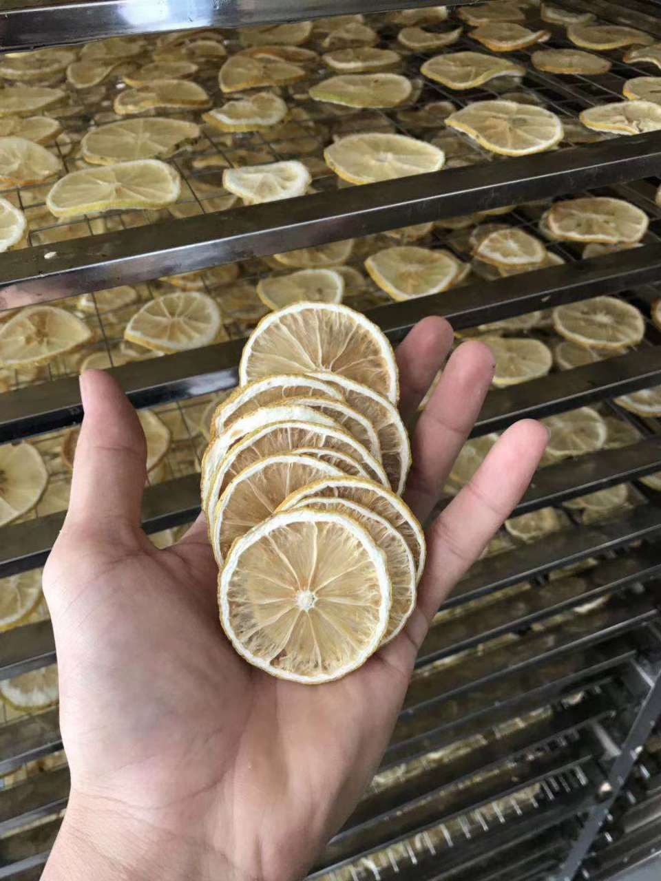 蜀冷智能烘干系统