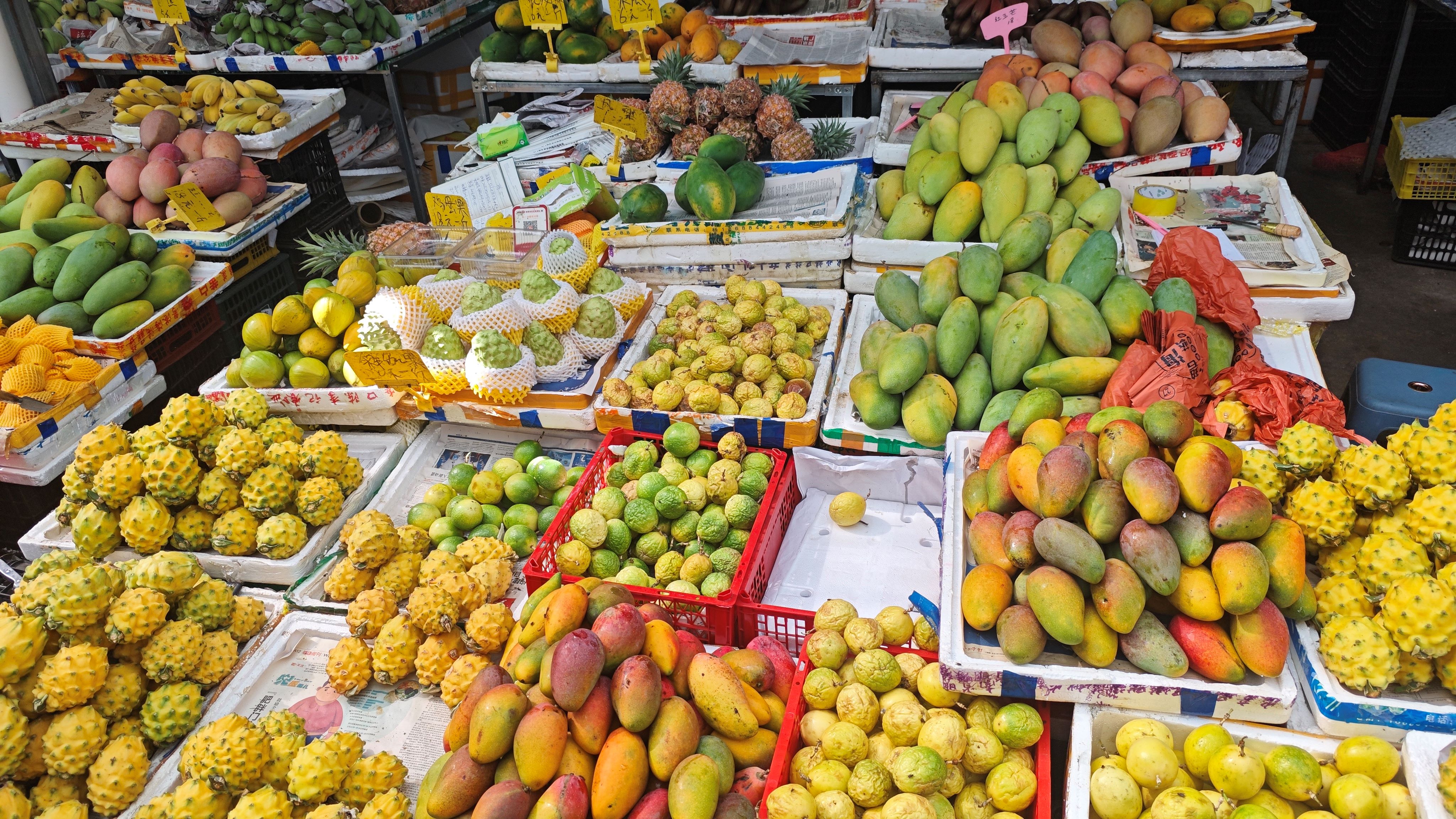 高效有序的水果供应链作业现场