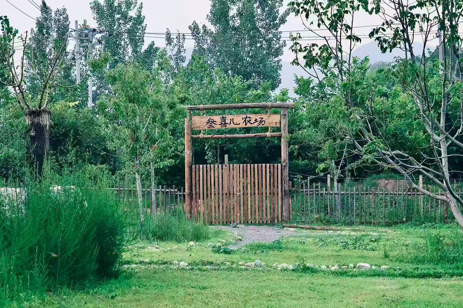 北辰站 - 一站式服务