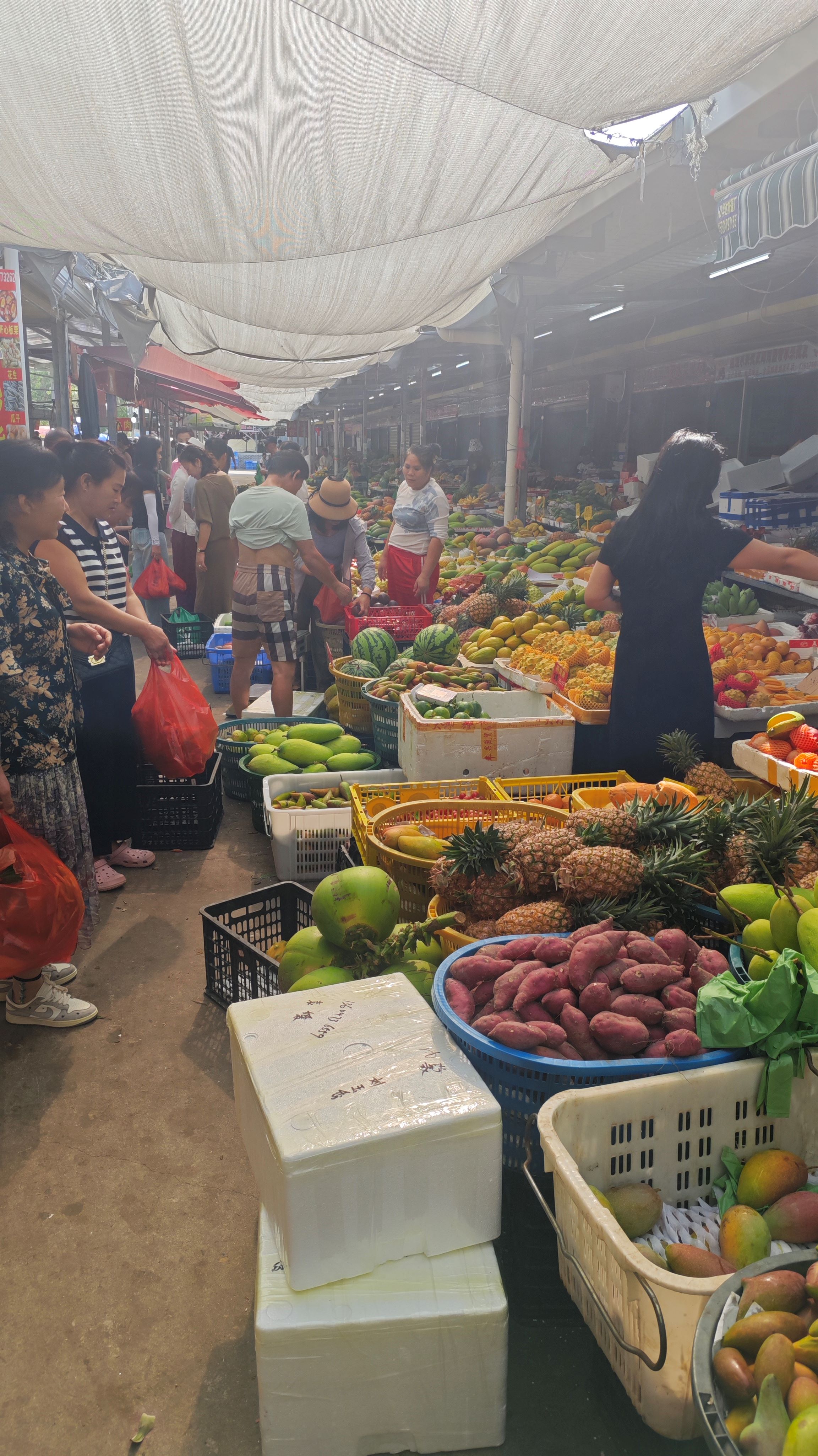新村大集海鲜农贸市场全貌