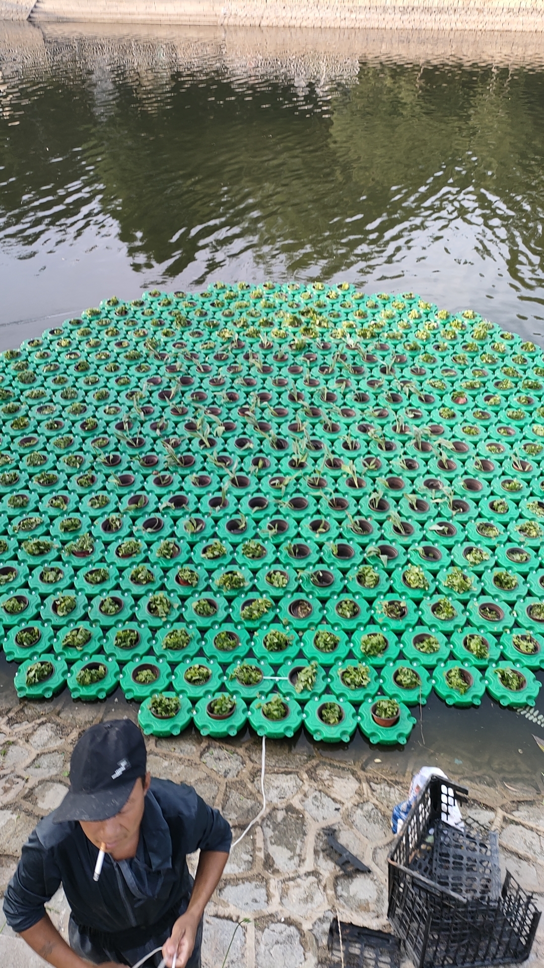 成熟的人工湿地工程实现生态与美观的统一