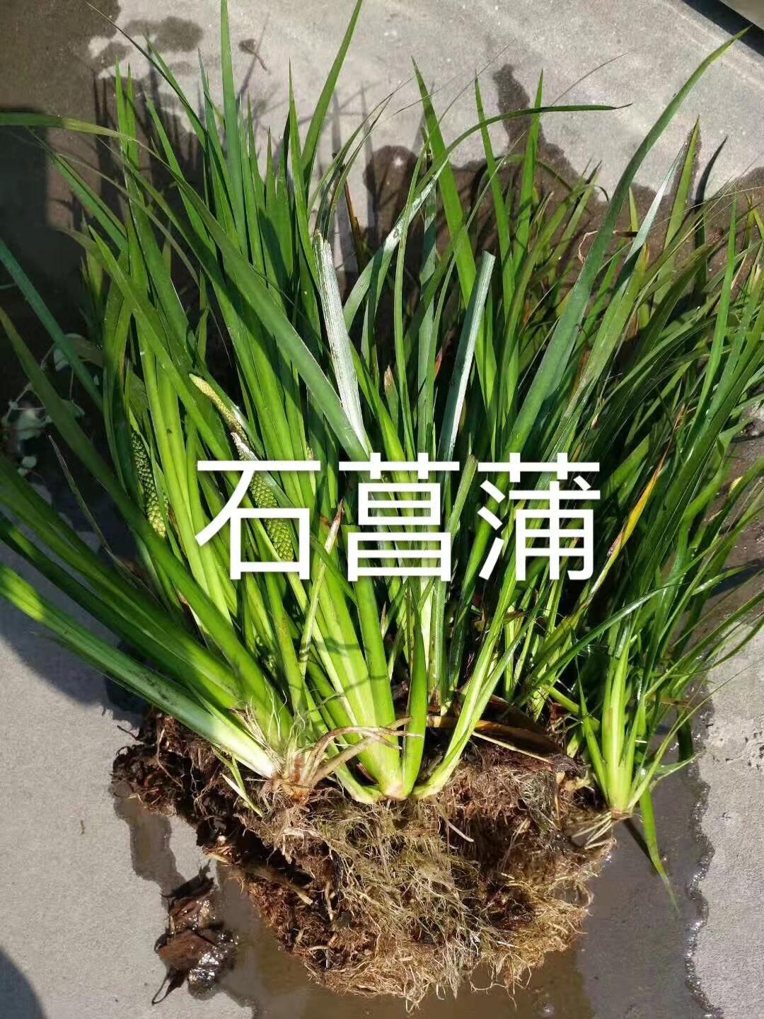 微信图片_20251229201300_452_474.jpg