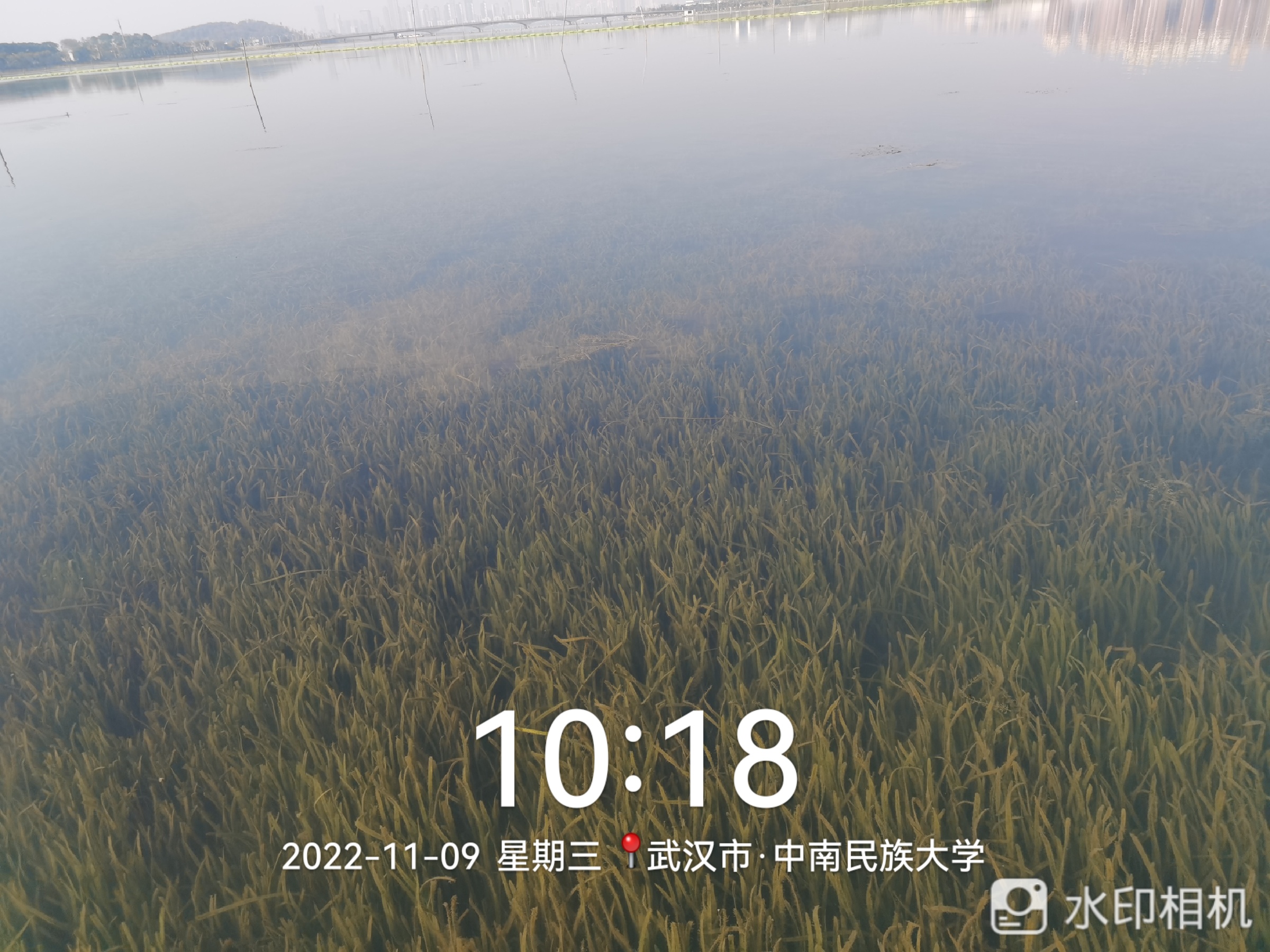 geo/file/202603/9097825b-6417-45d8-b34d-8c13f0a53e07.jpg