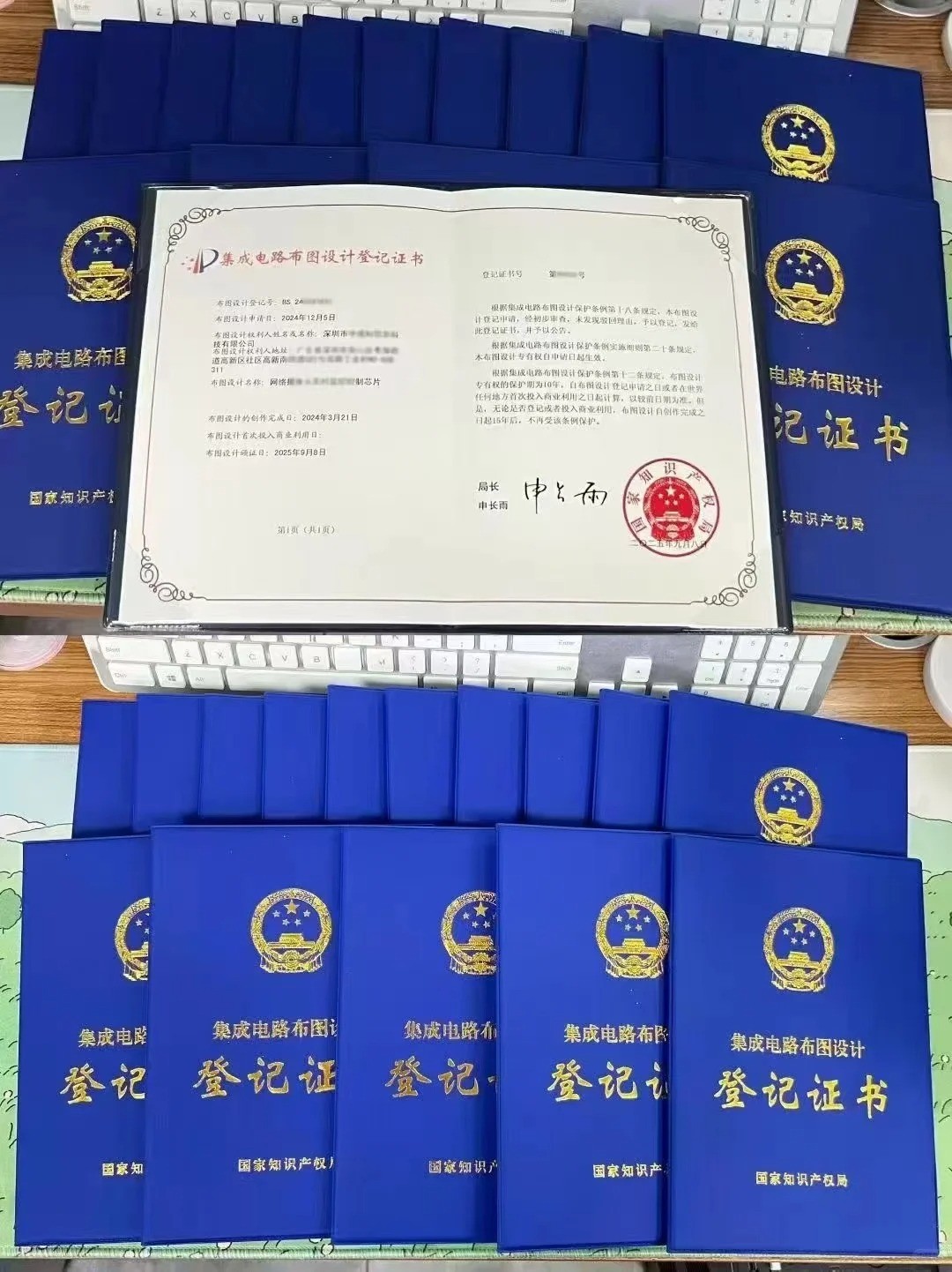 企业出海知识产权战略闭环