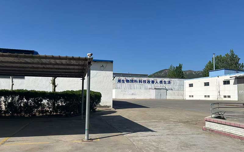 德州站无抗饲料 - 一站式服务