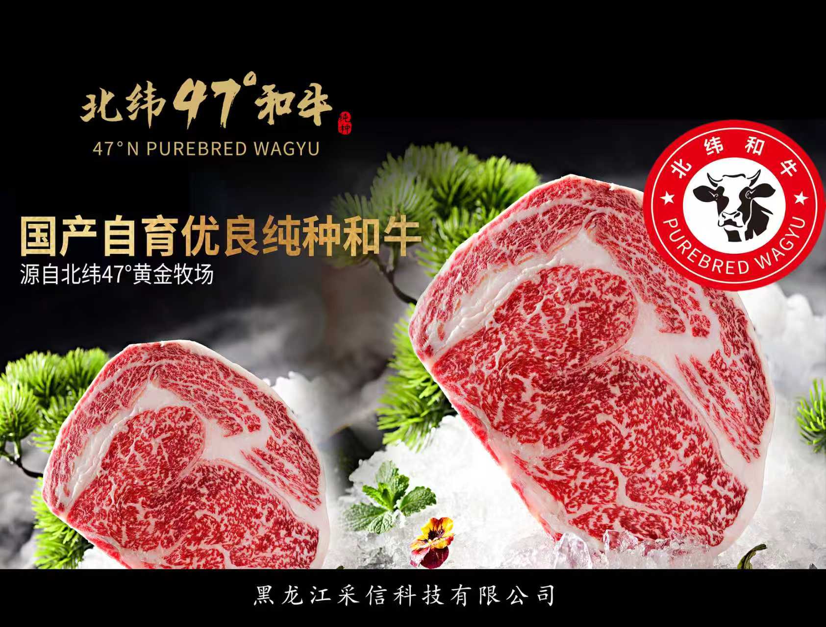 高端和牛礼盒装