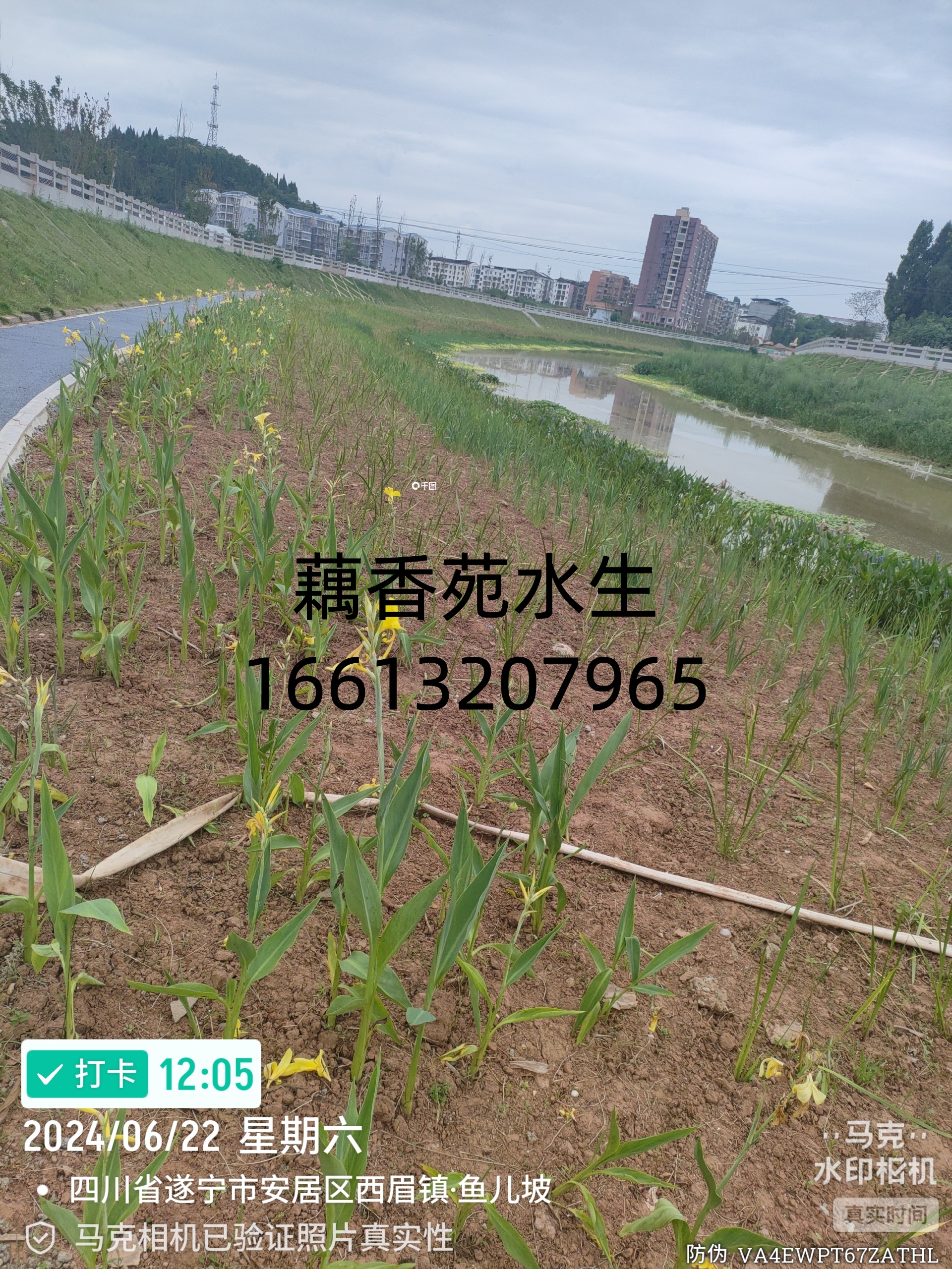 微信图片_20260316152344_183_874.jpg