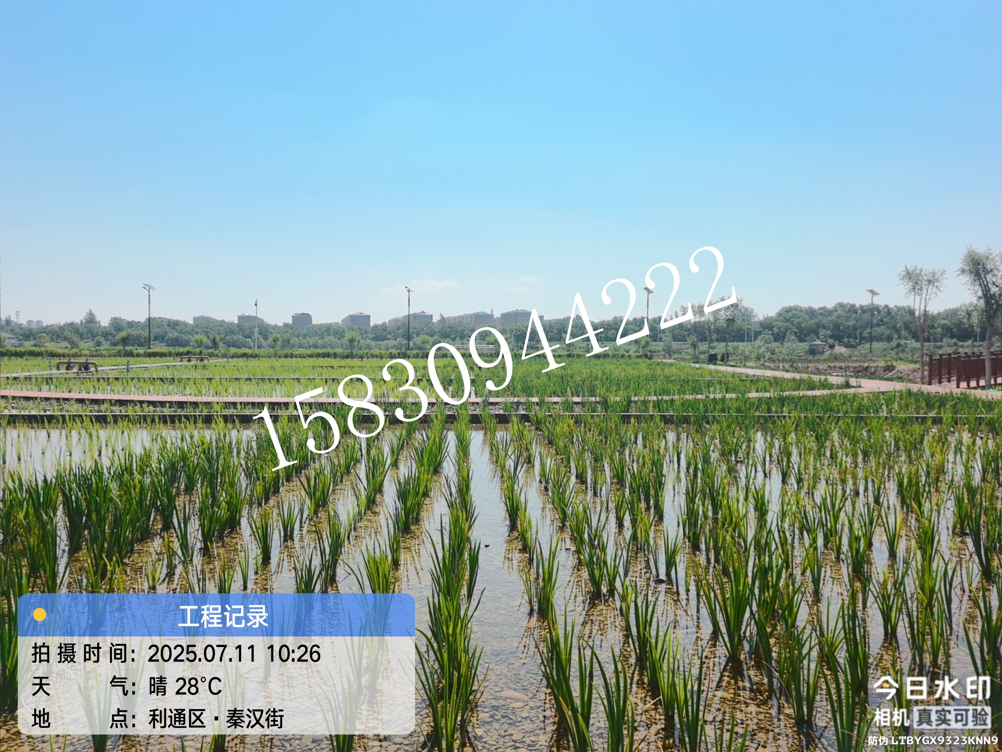 微信图片_20260429172933_259_139.jpg