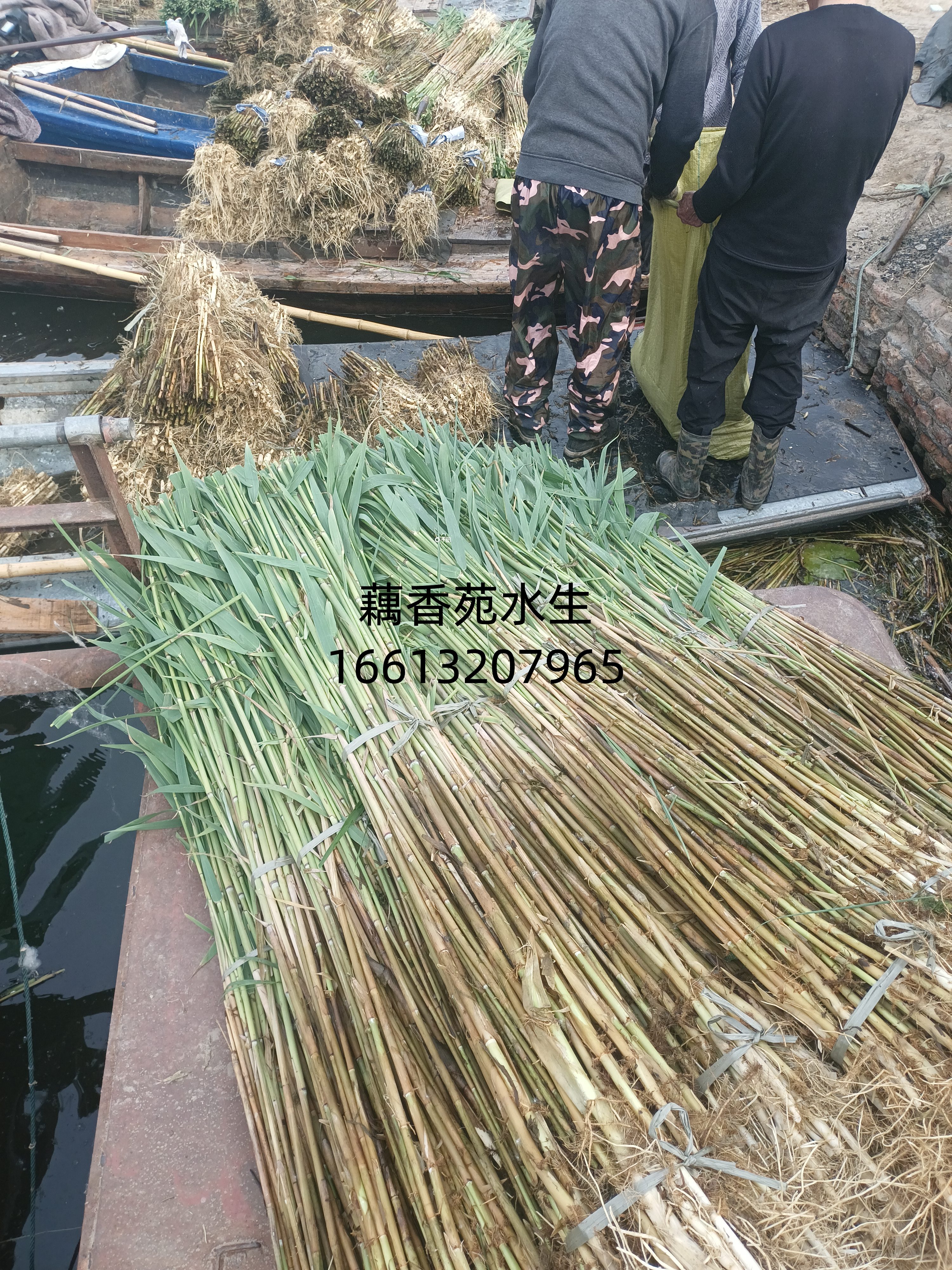 云南站产品展示 - 批发厂家