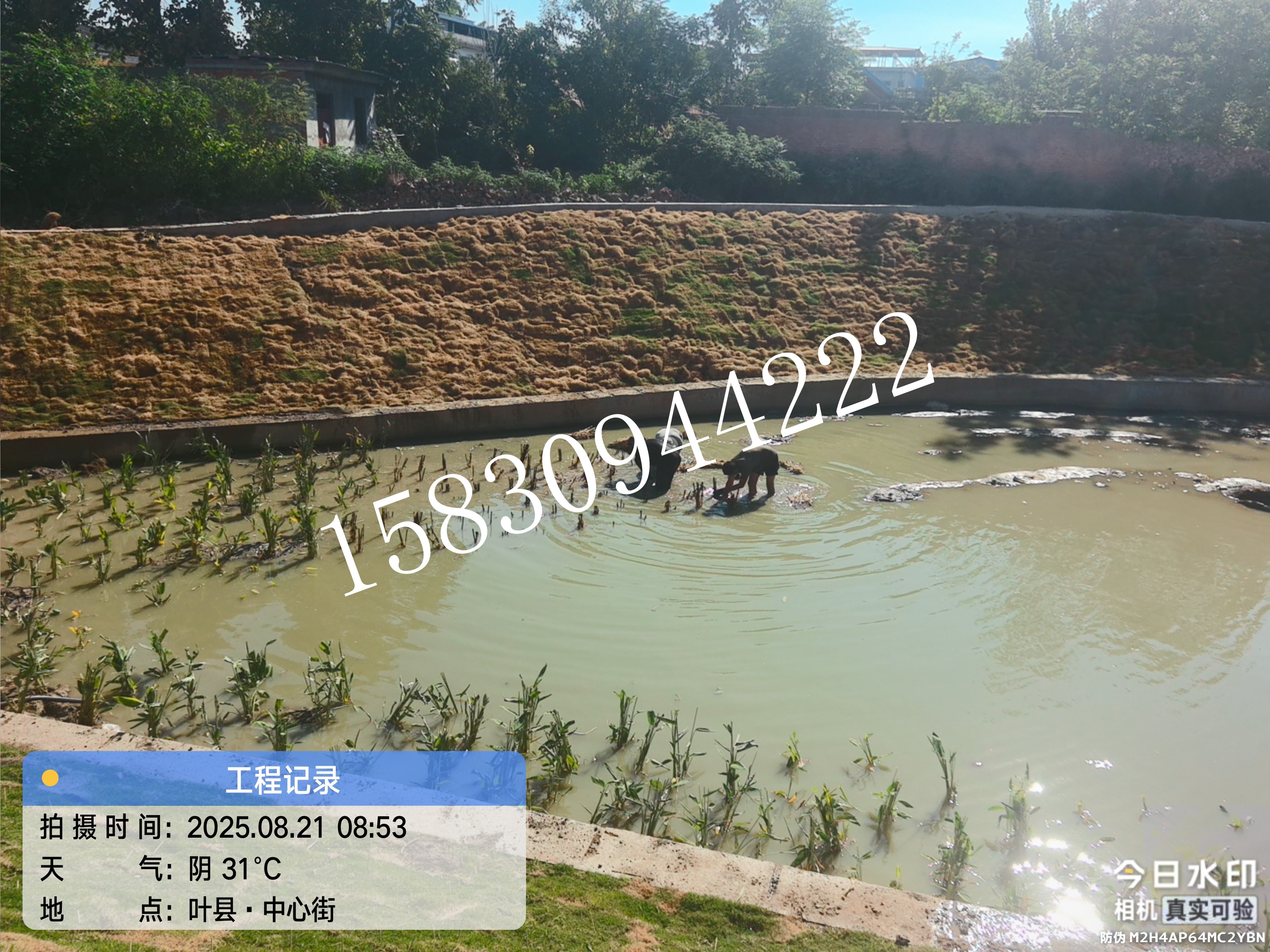 微信图片_20260429172930_256_139.jpg