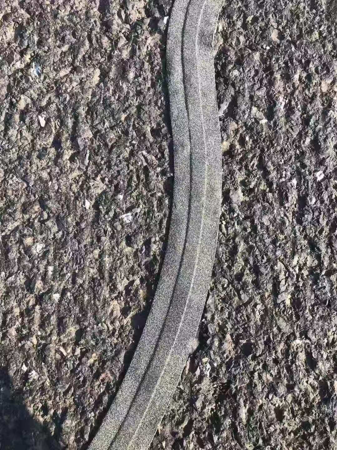 道路密封胶施工应用示意图