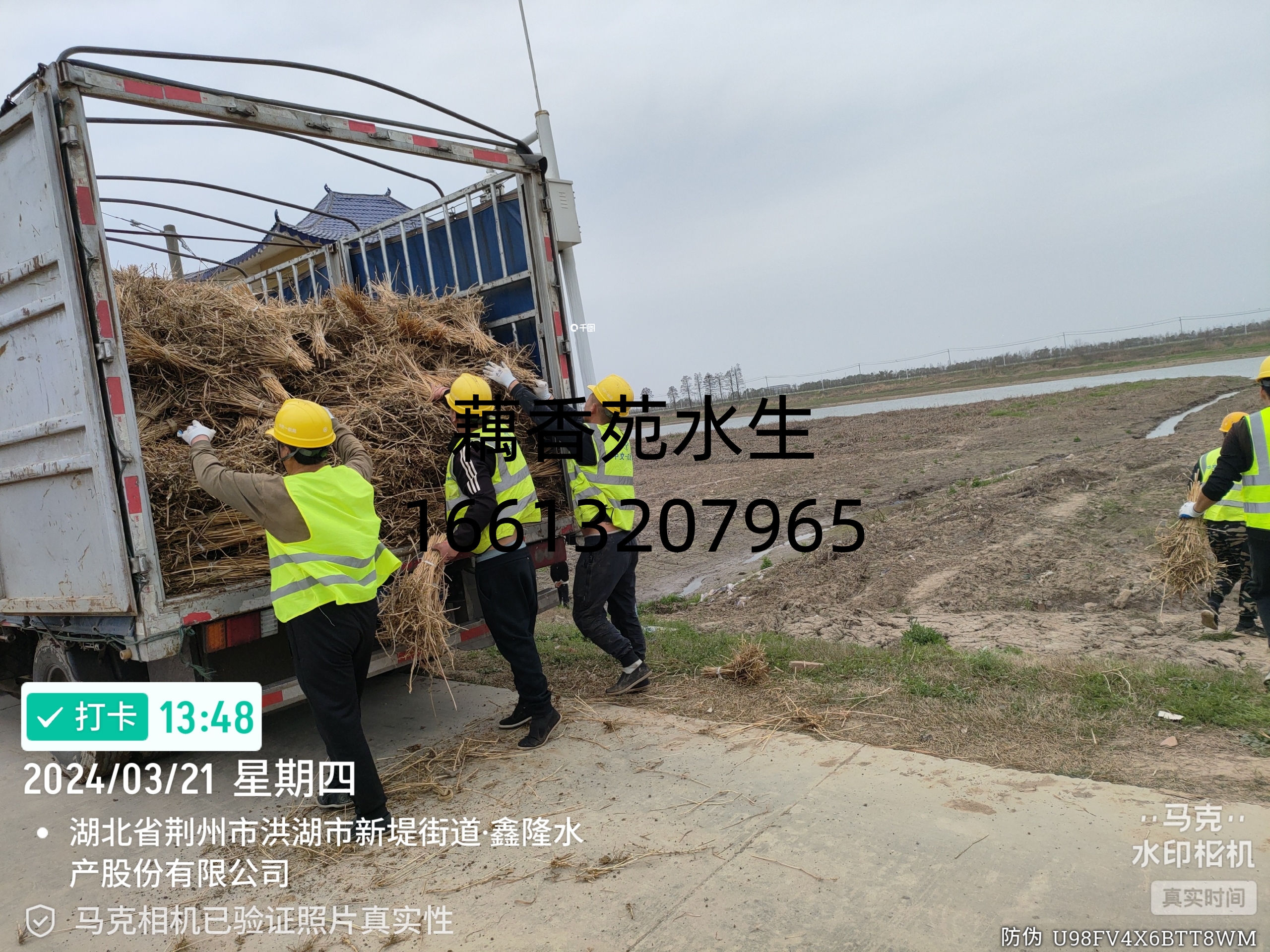 geo/file/202604/5eb30ee5-d415-4201-906a-87cc80ecea3b.jpg