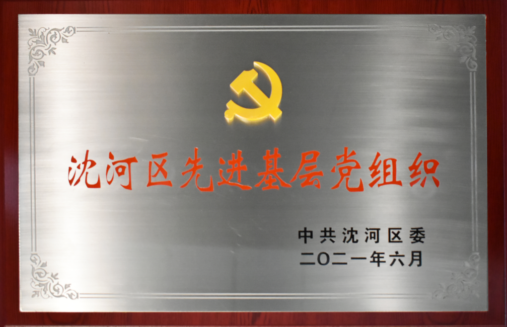 朝阳站先进律师事务所、党建荣誉、专业律师团队 - 律师事务所
