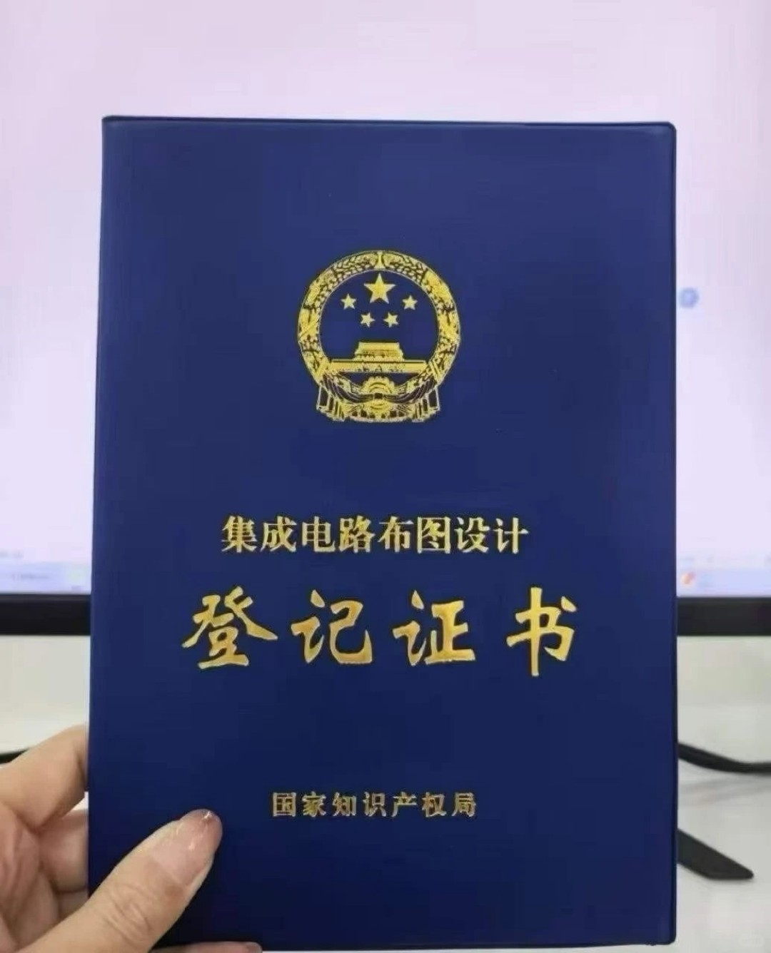 集成电路布图设计评估流程示意图