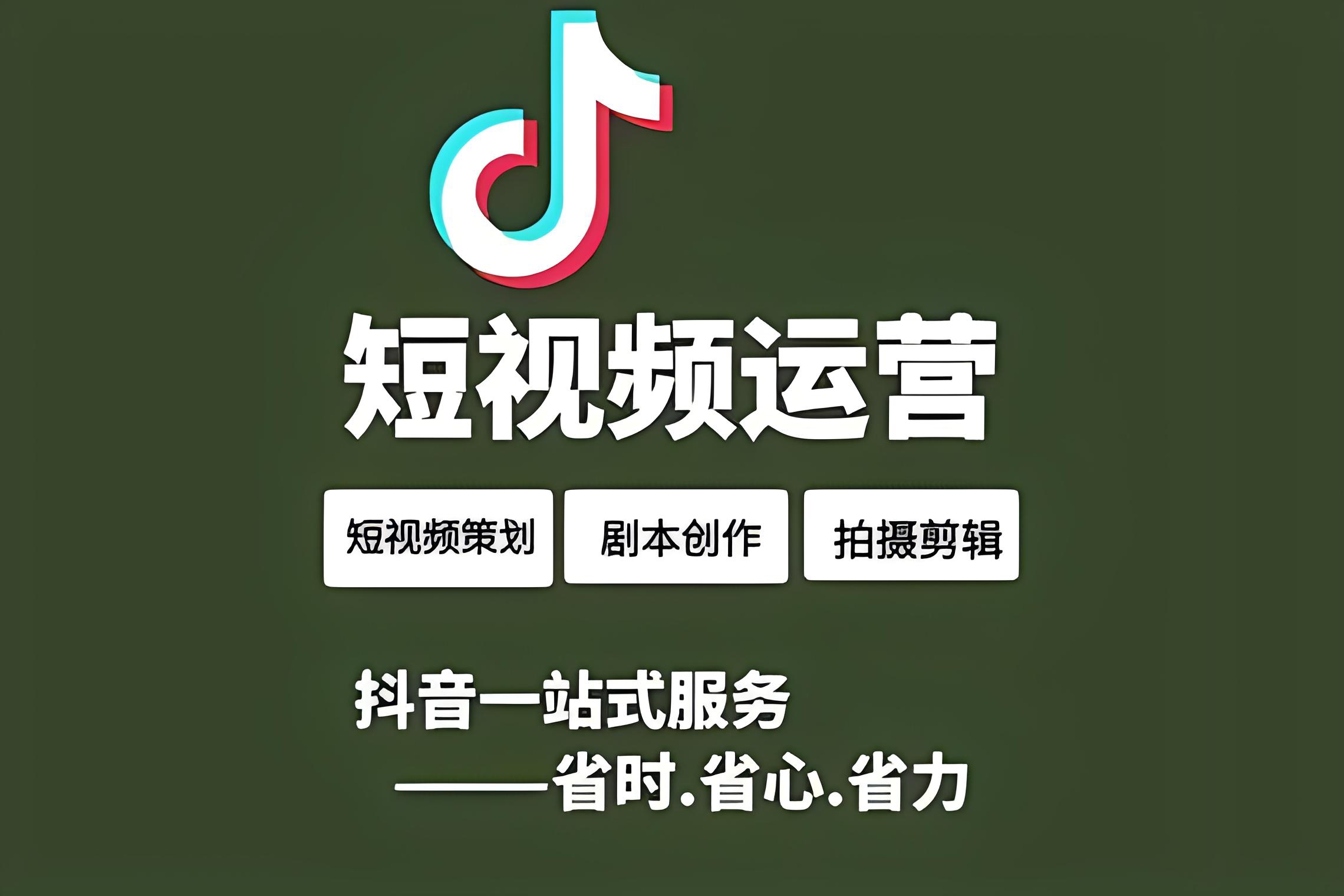 专业团队讨论运营方案