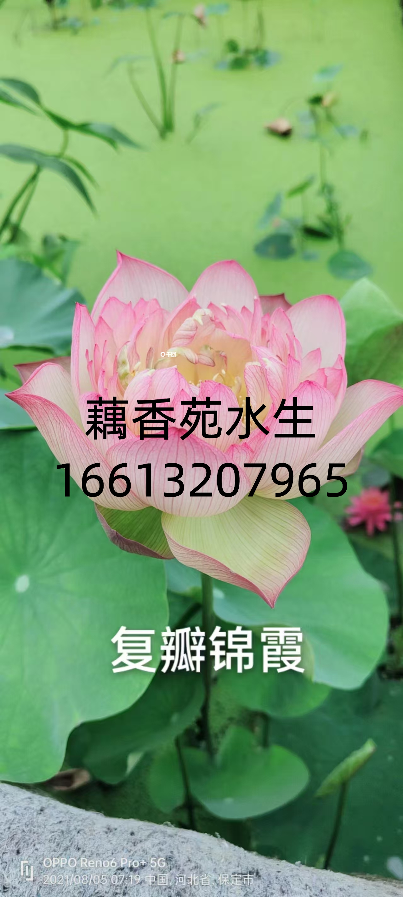 产品展示