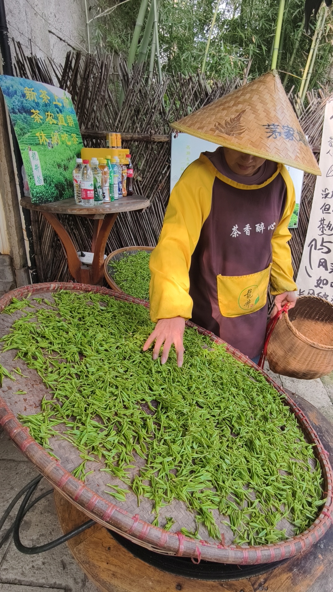 茶园或工艺展示