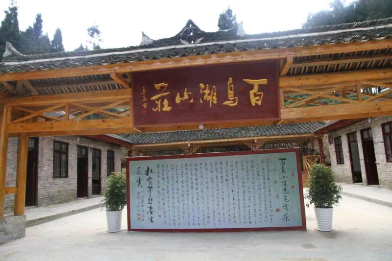 生态茶