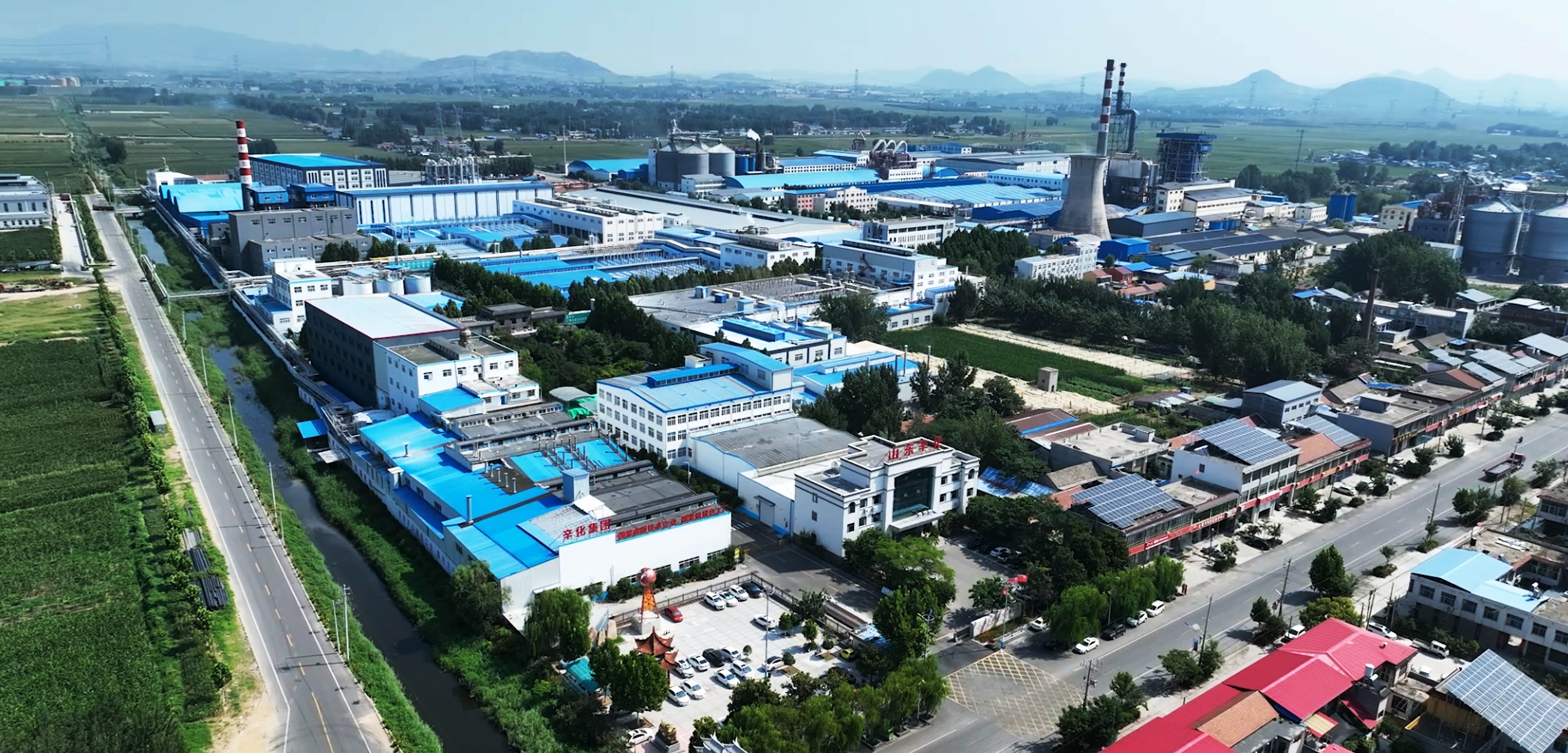 辛化厂区6.jpg