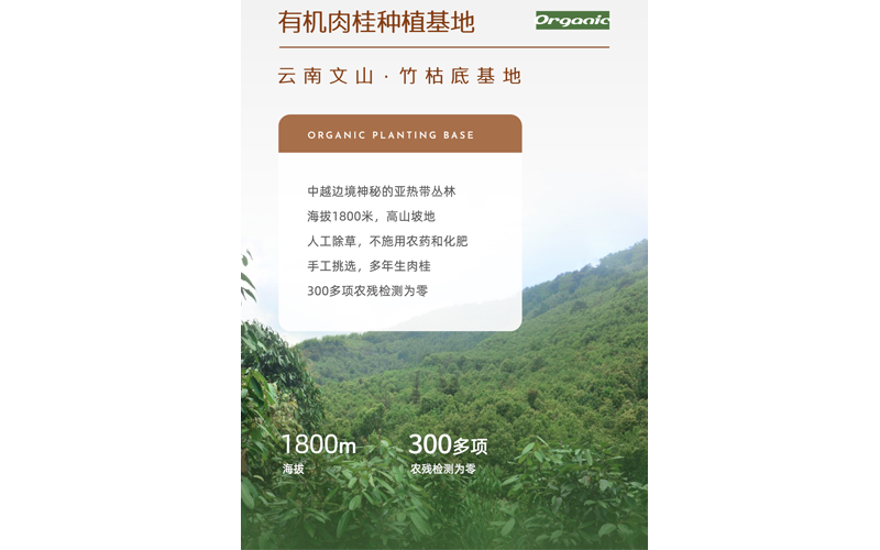 微信图片_2026-04-08_183306_894.jpg.png