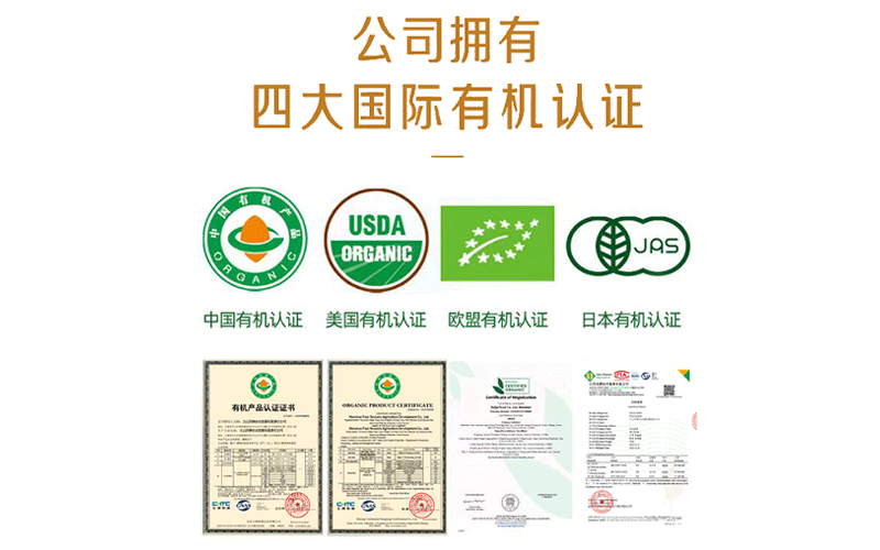 微信图片_2026-04-08_183254_365.png