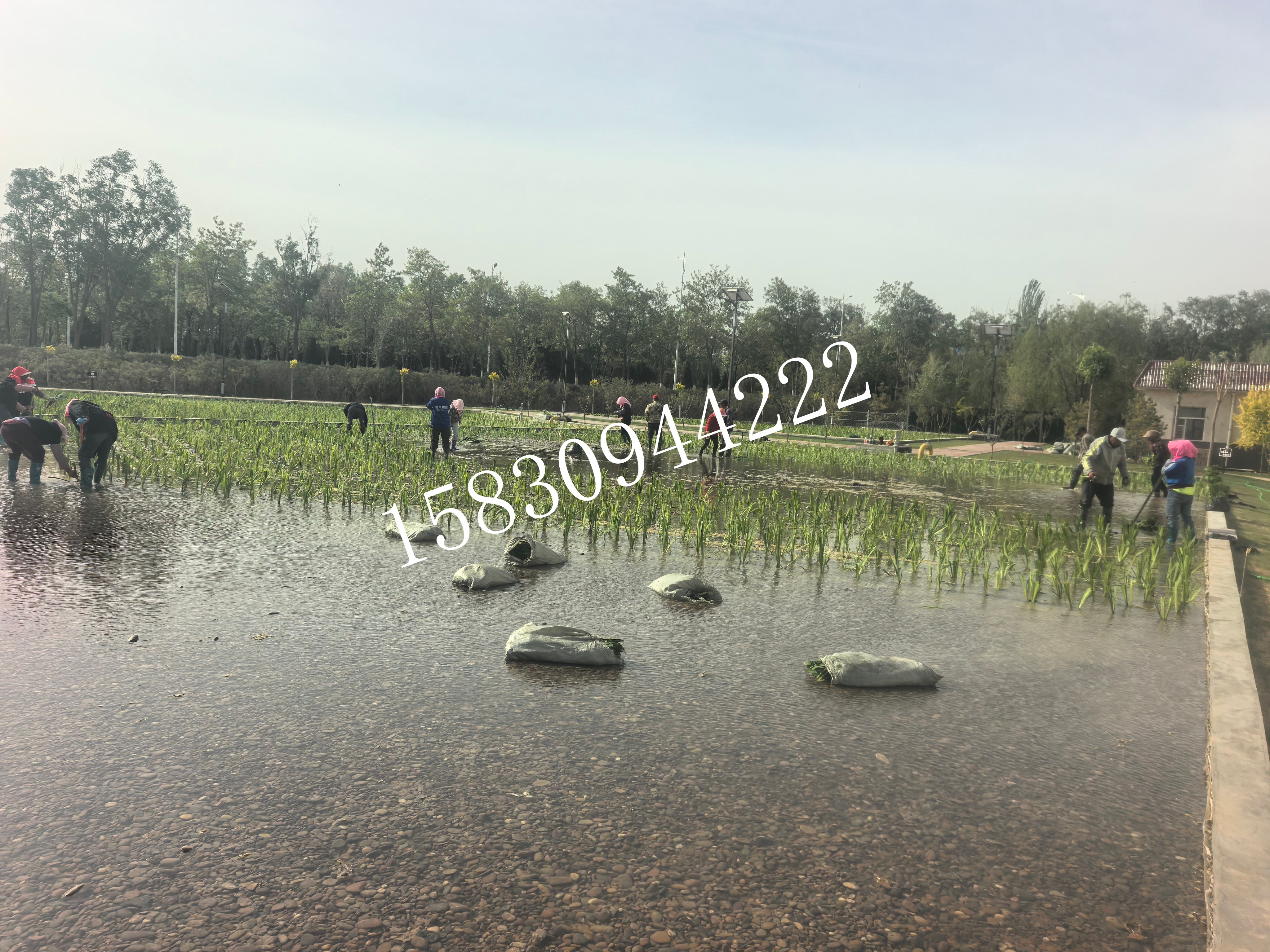 微信图片_20260429172807_221_139.jpg