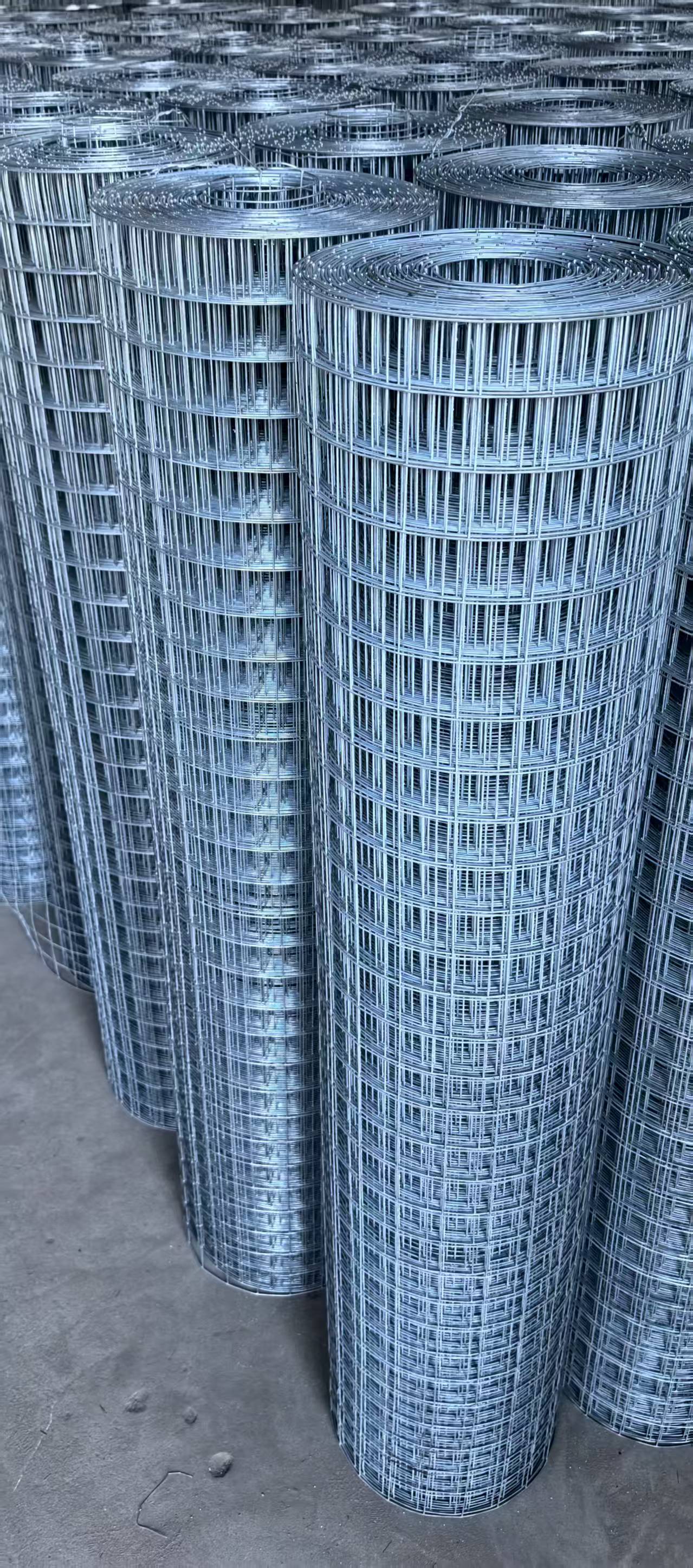 镀锌钢丝网.jpg