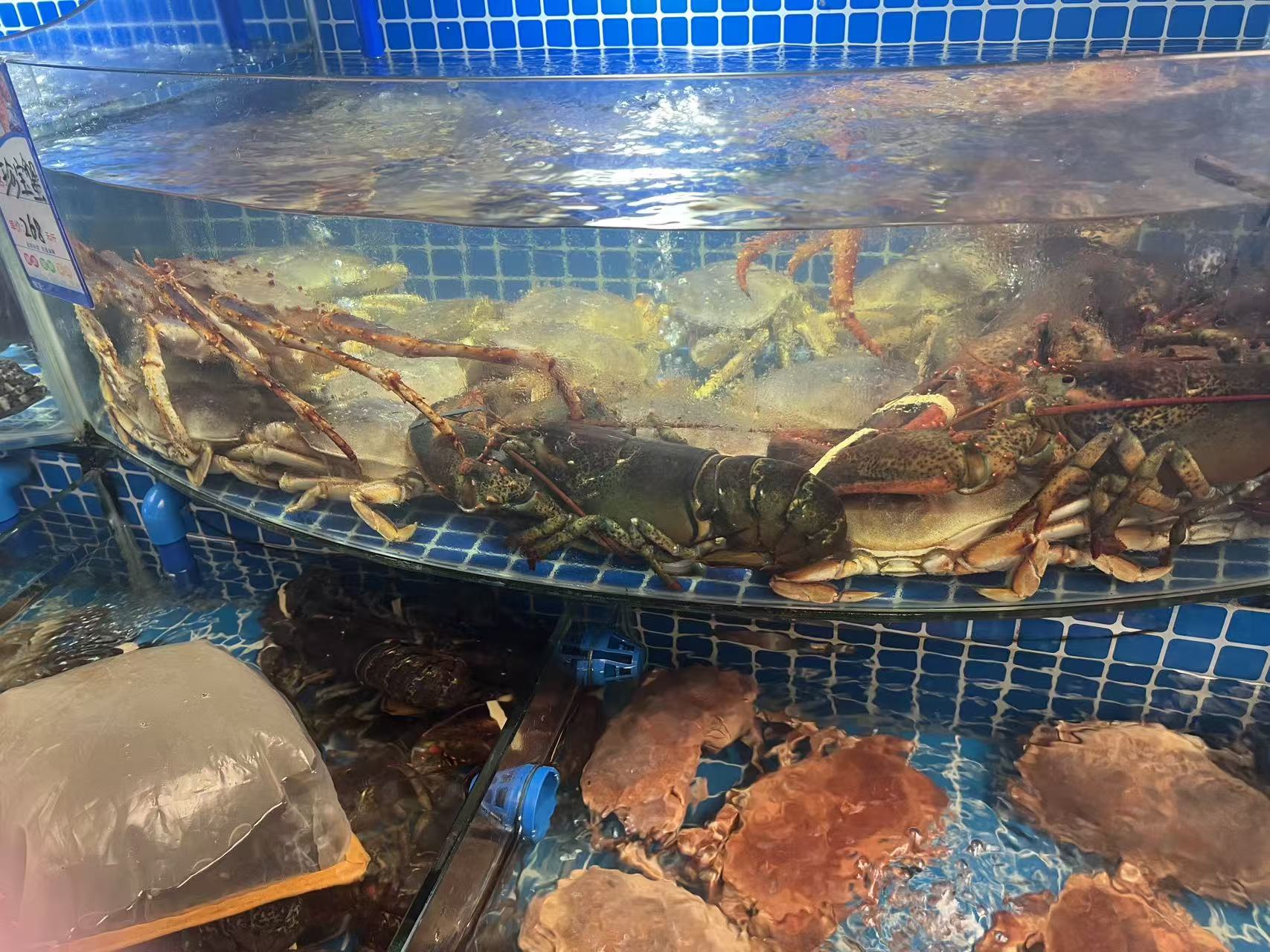 海鲜展示