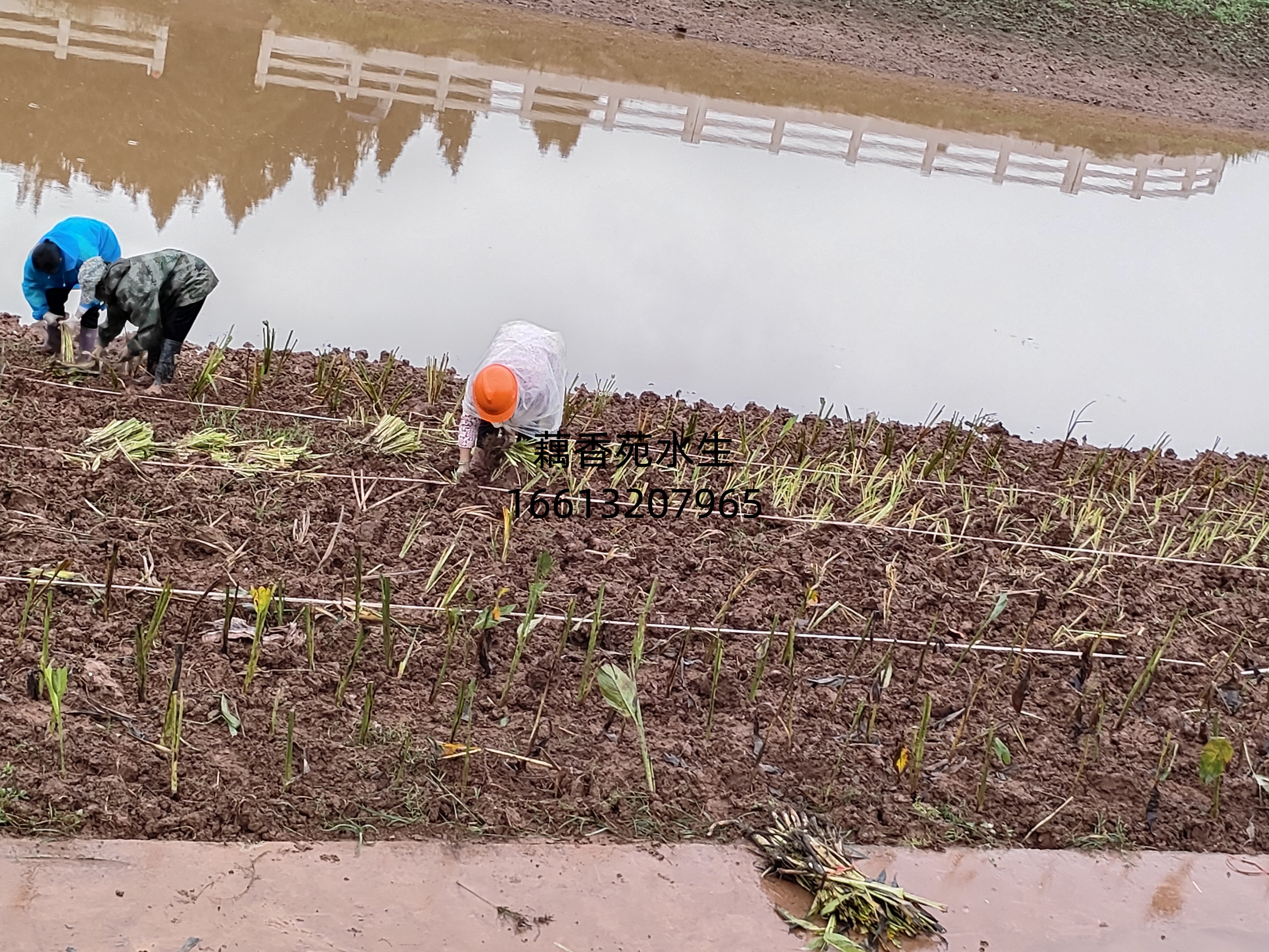 微信图片_20260316152425_196_874.jpg