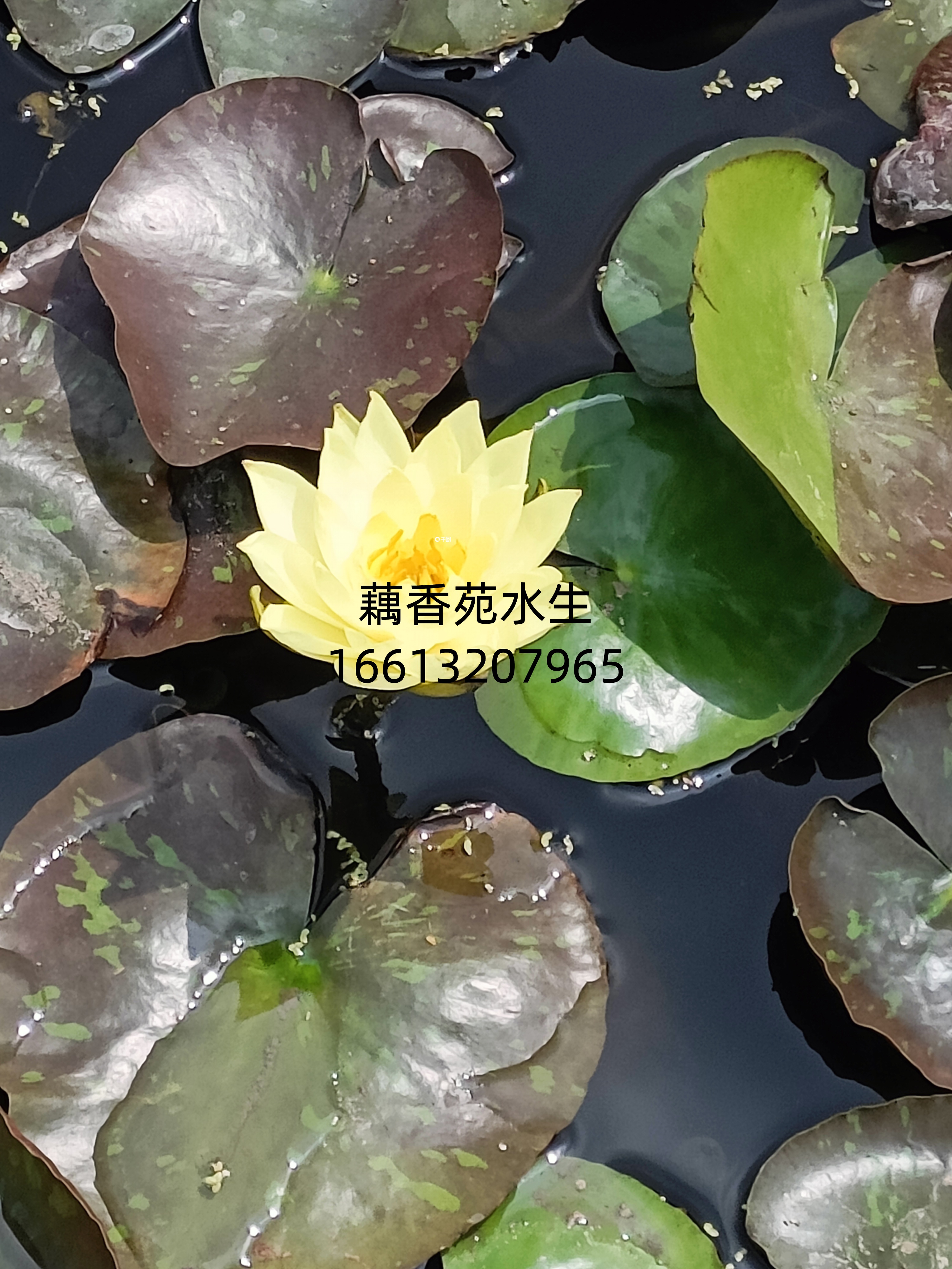 产品展示