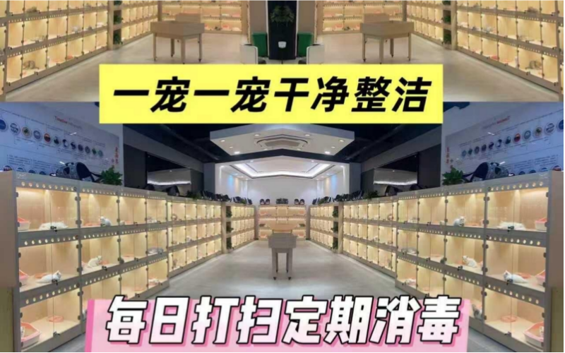 微信图片_20260525103120_69_379.png