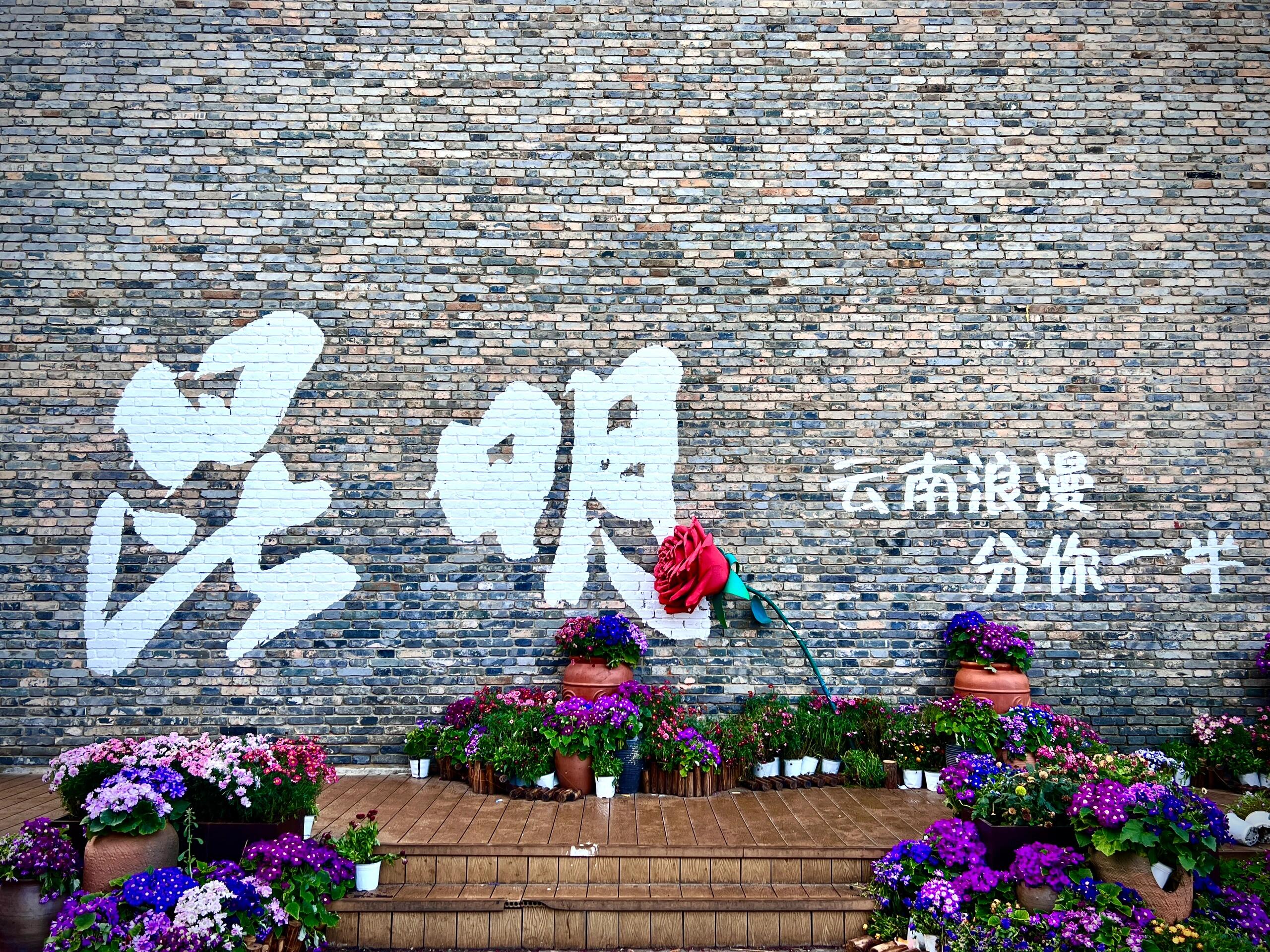 西双版纳热带雨林公路