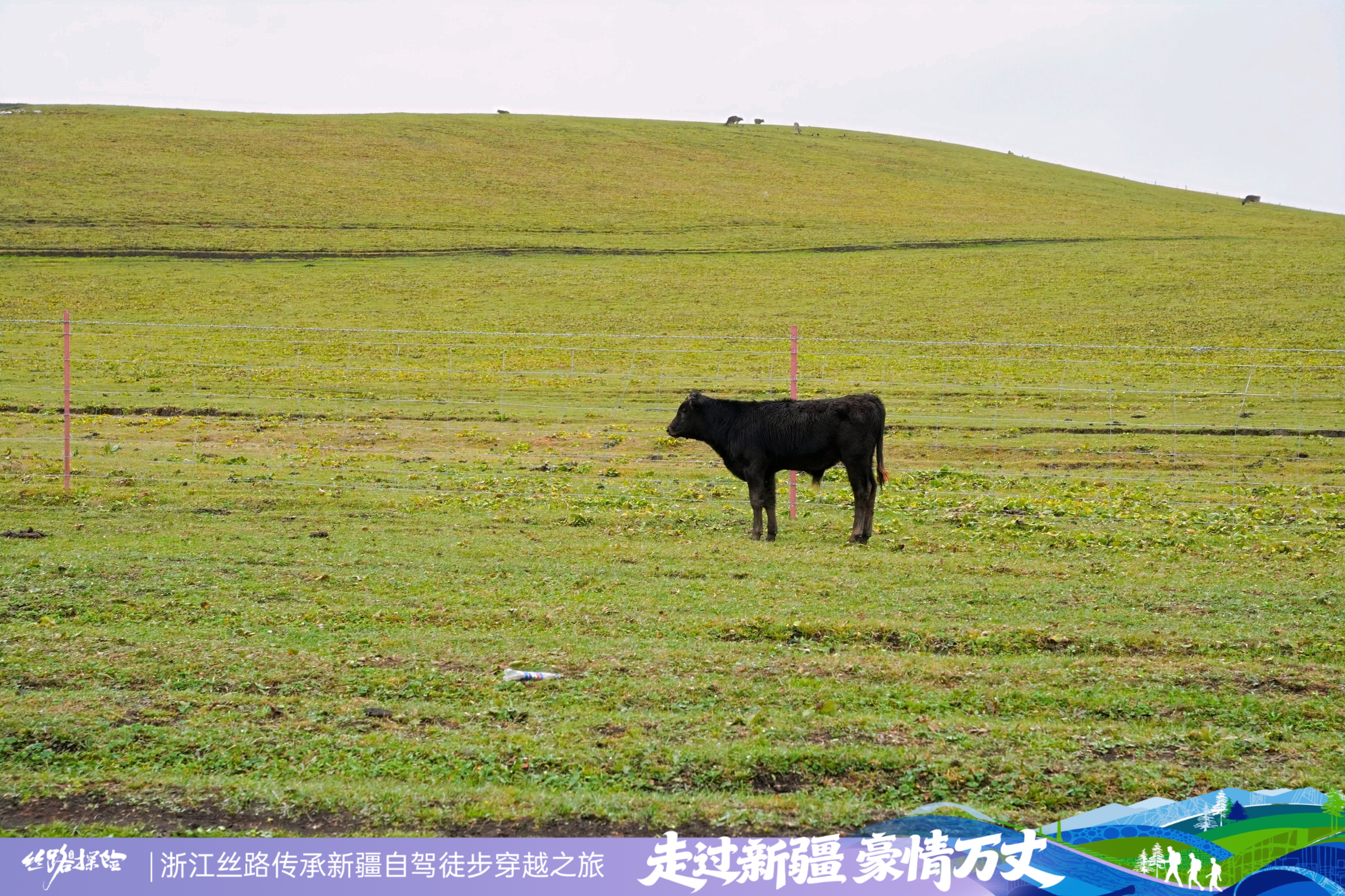 壮丽的新疆日落风光，自驾游的完美终点