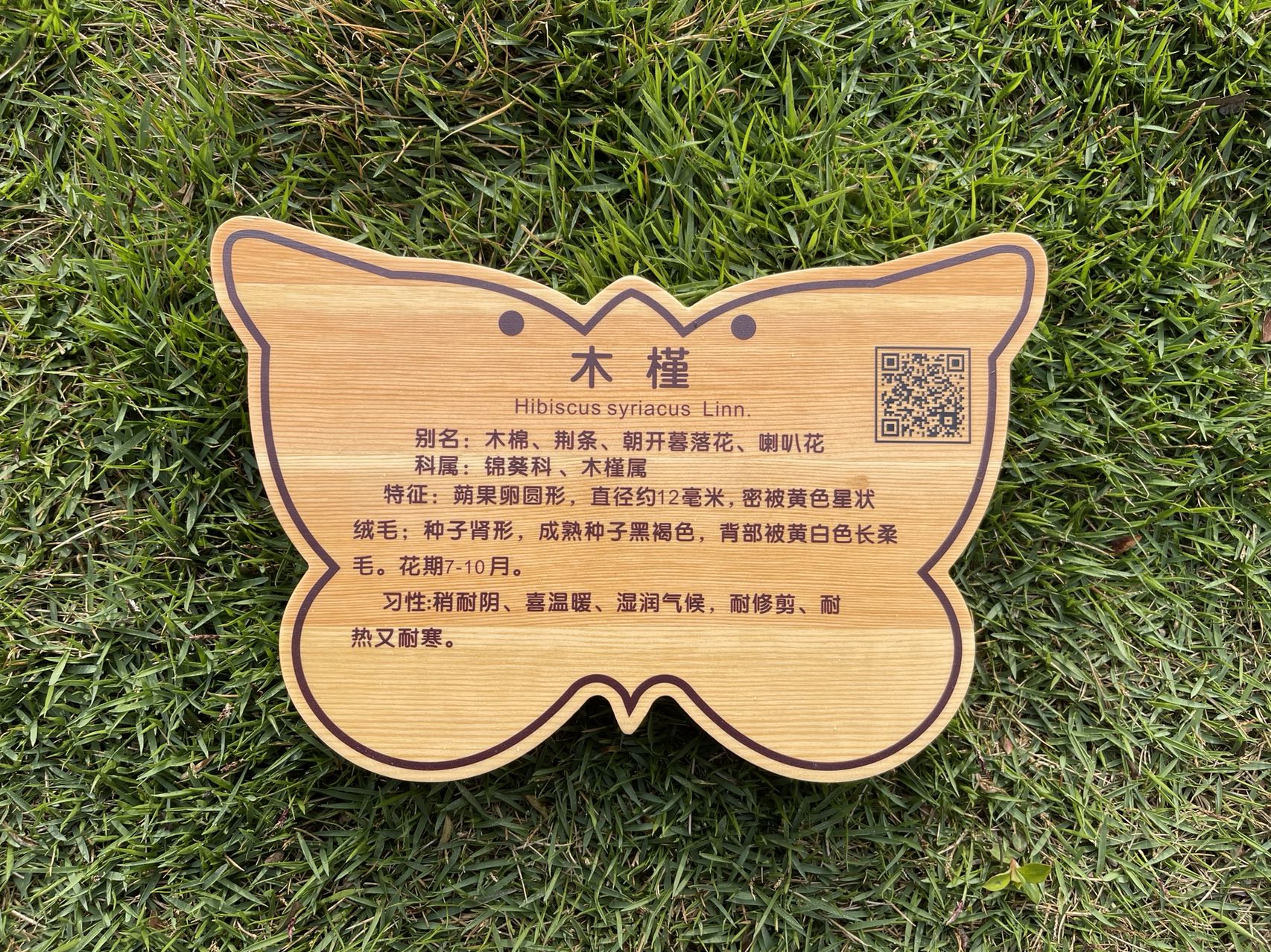 geo/file/202605/3566122d-76b2-4845-80b8-2ad5dceea757.jpg