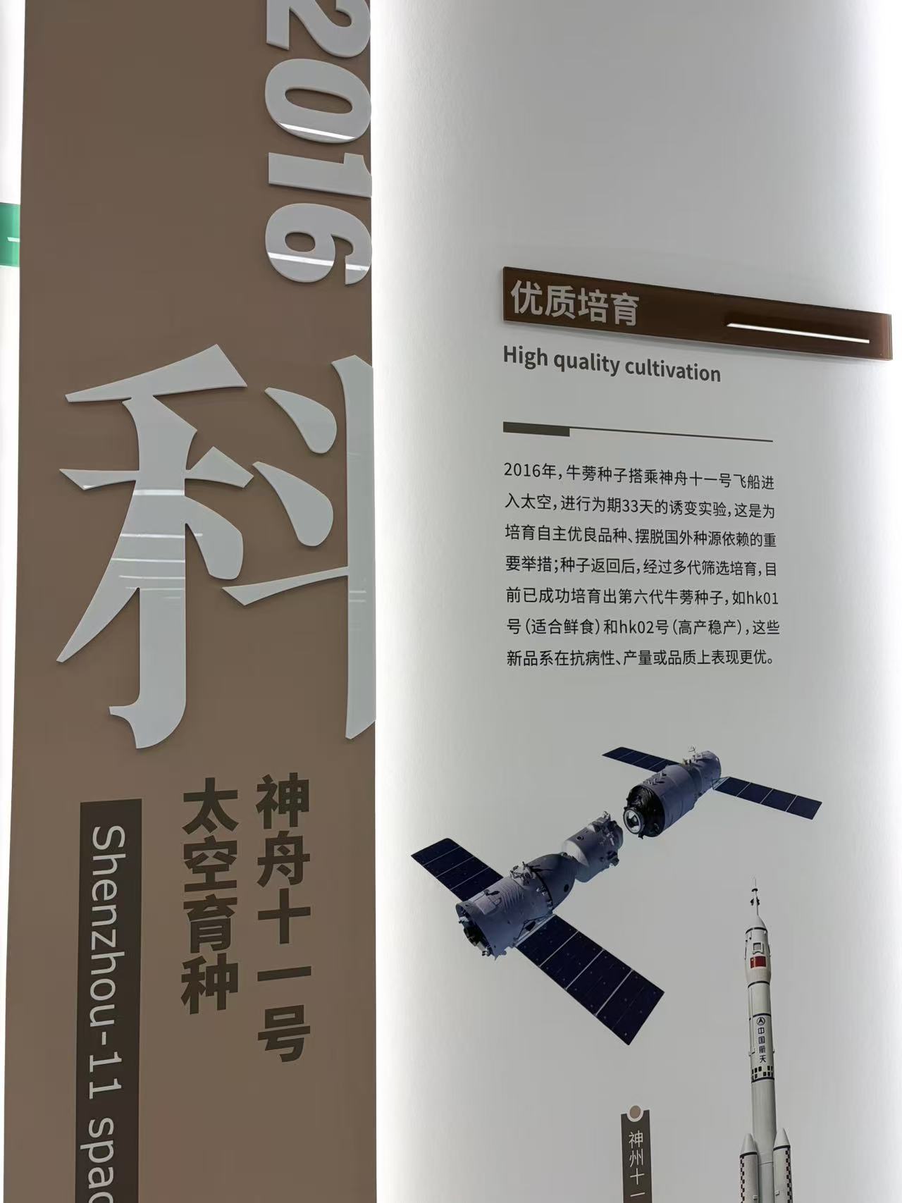 速溶茶应用