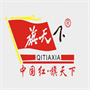 成都旗天下科技有限公司