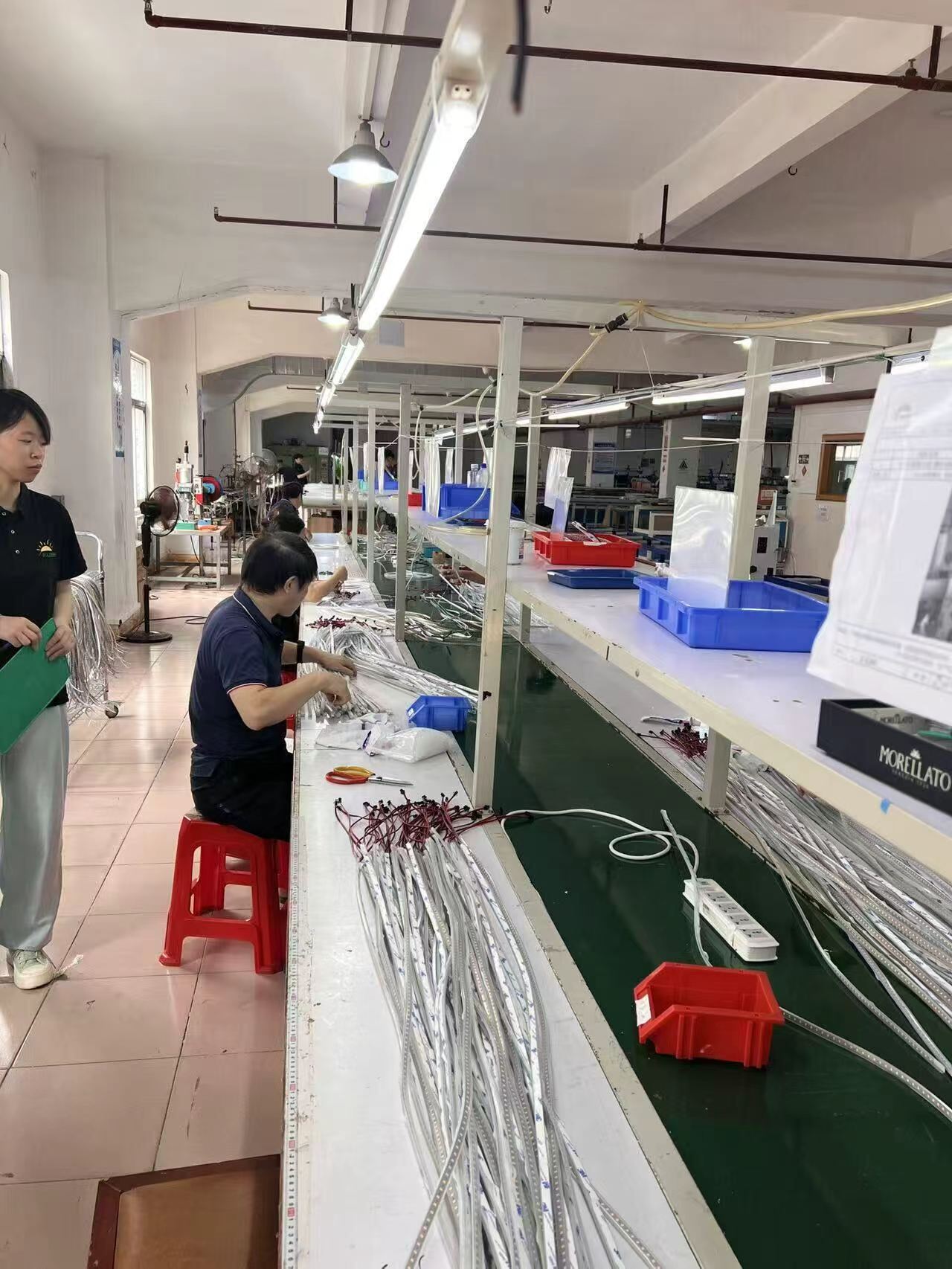 行业展望