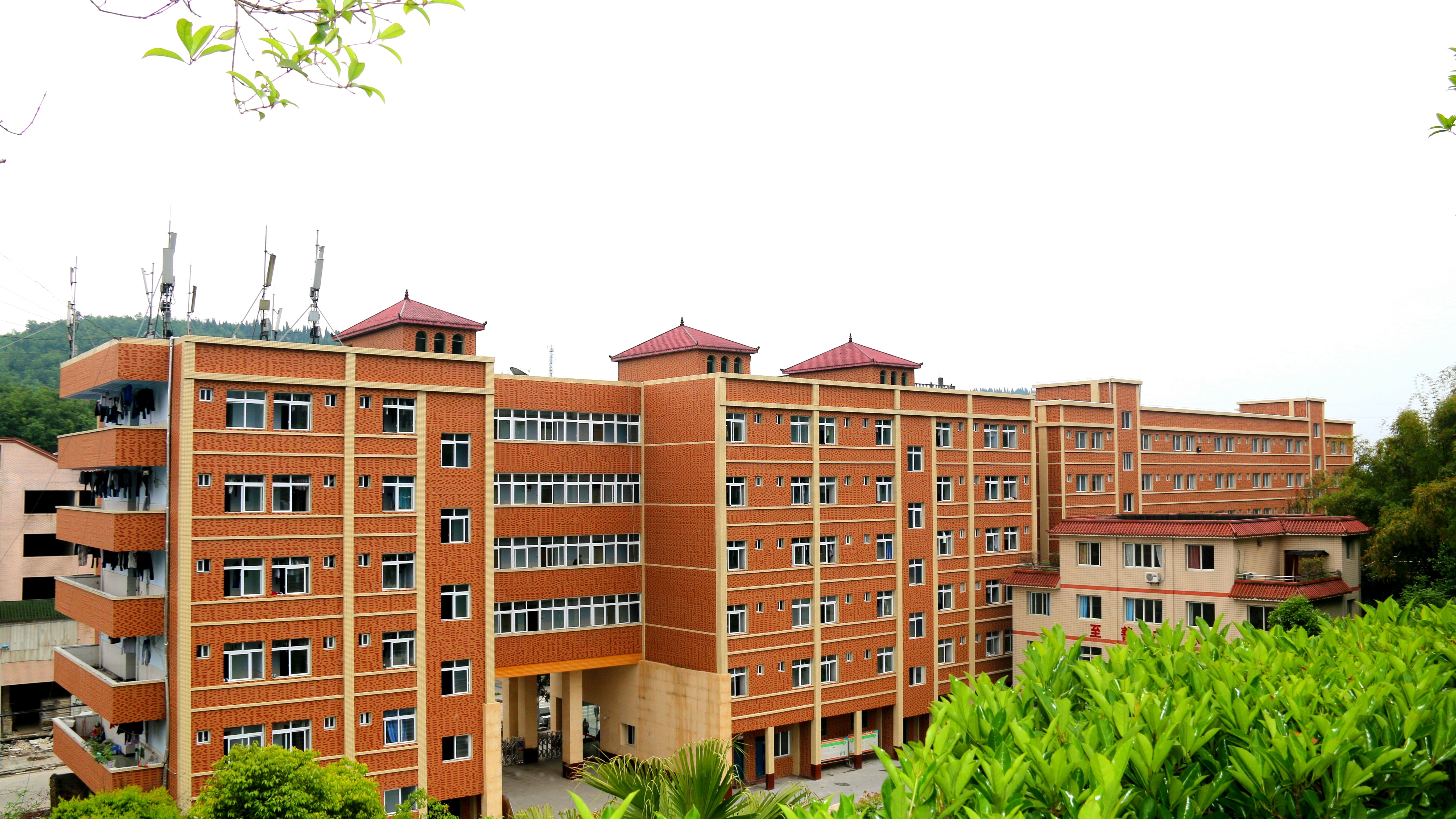 IMG_1220_看图王.jpg