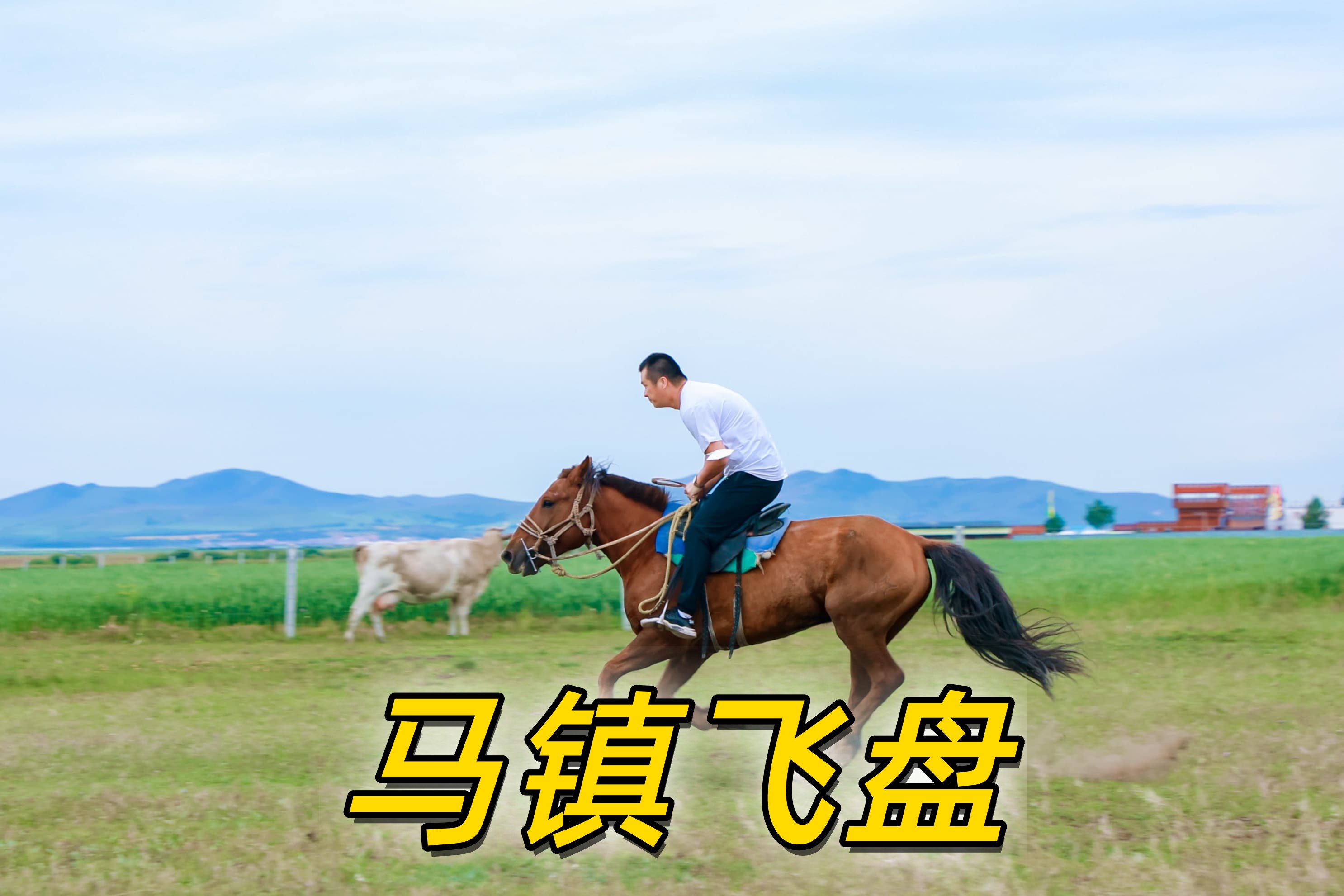 坝上草原中国马镇飞盘夜景 4.jpg