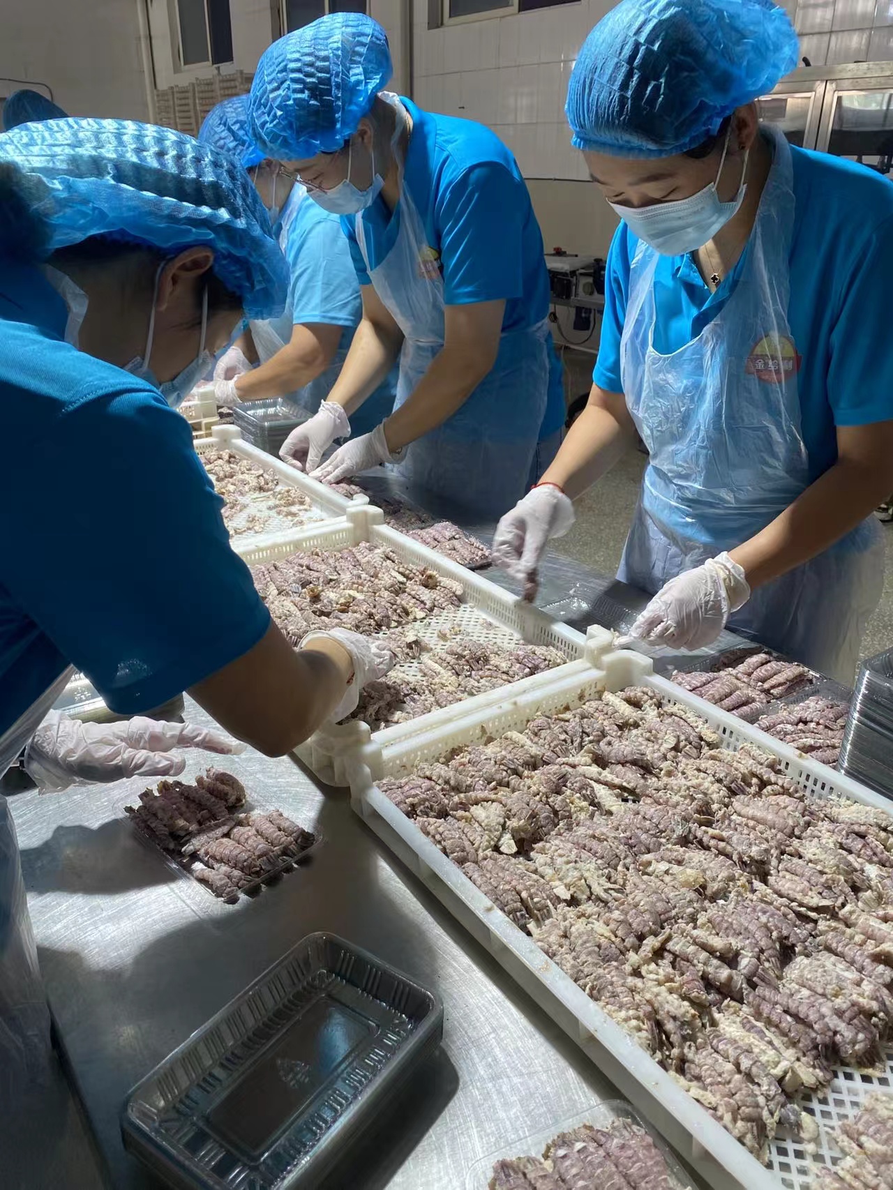 乳山生蚝养殖基地