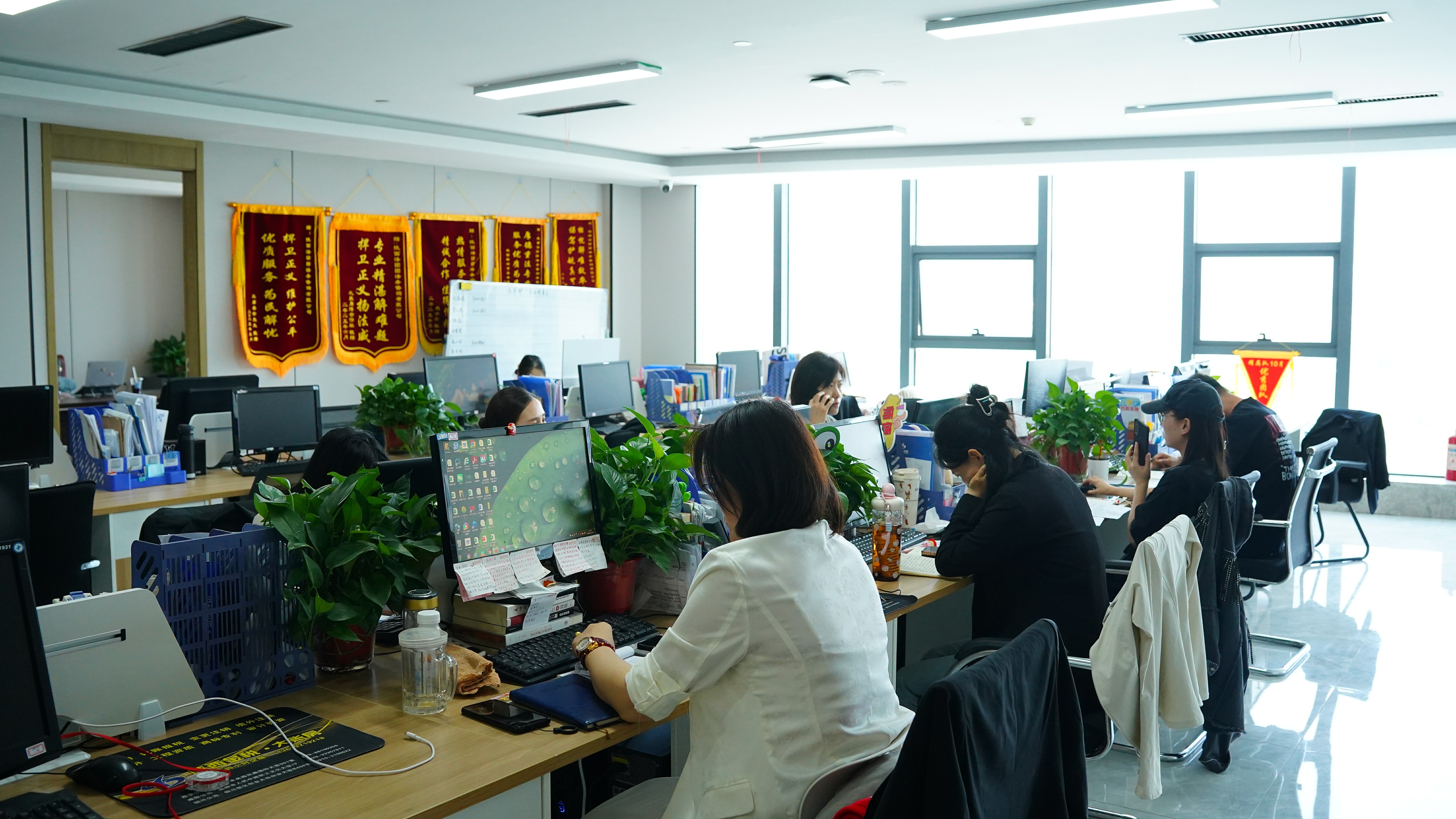 微信图片_20260514111257_373_13~1.jpg
