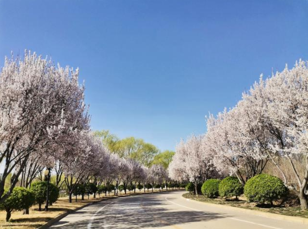 学科数据展示