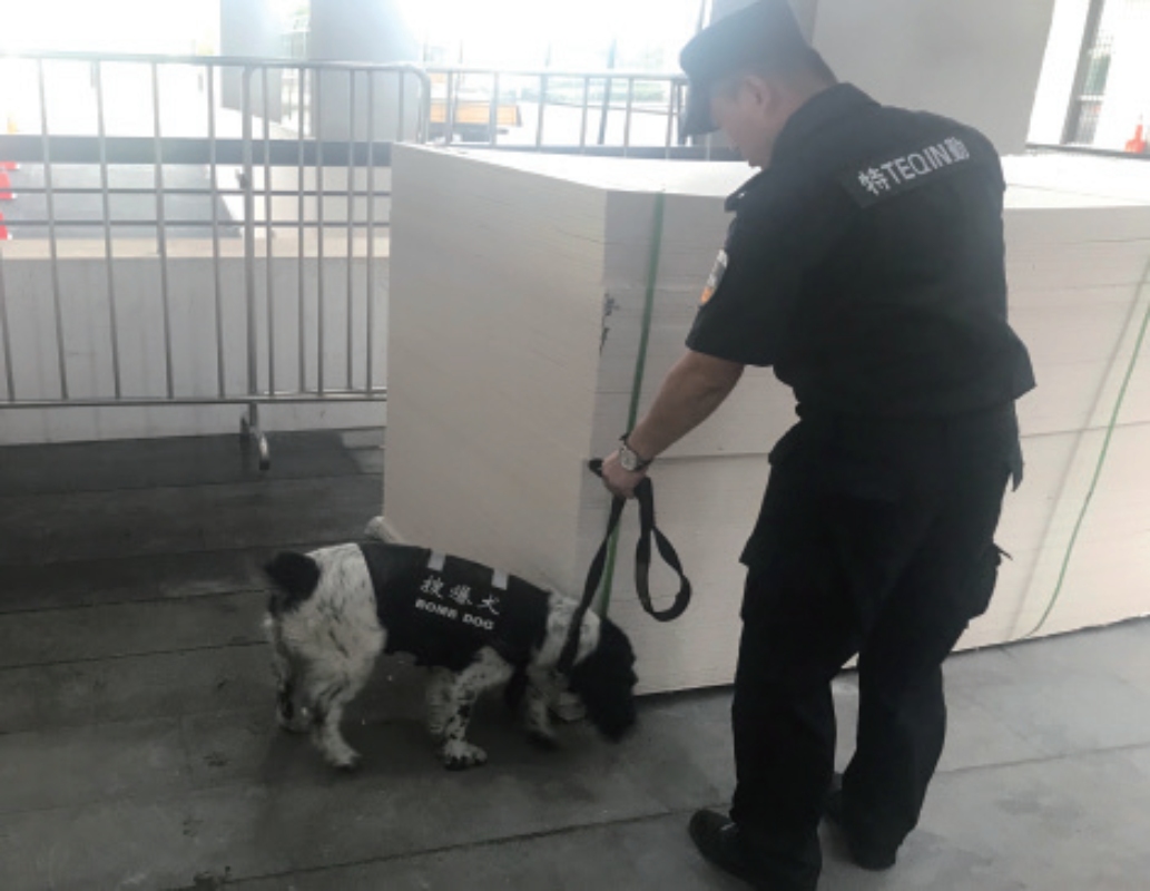 犬防服务_H_800px.jpg