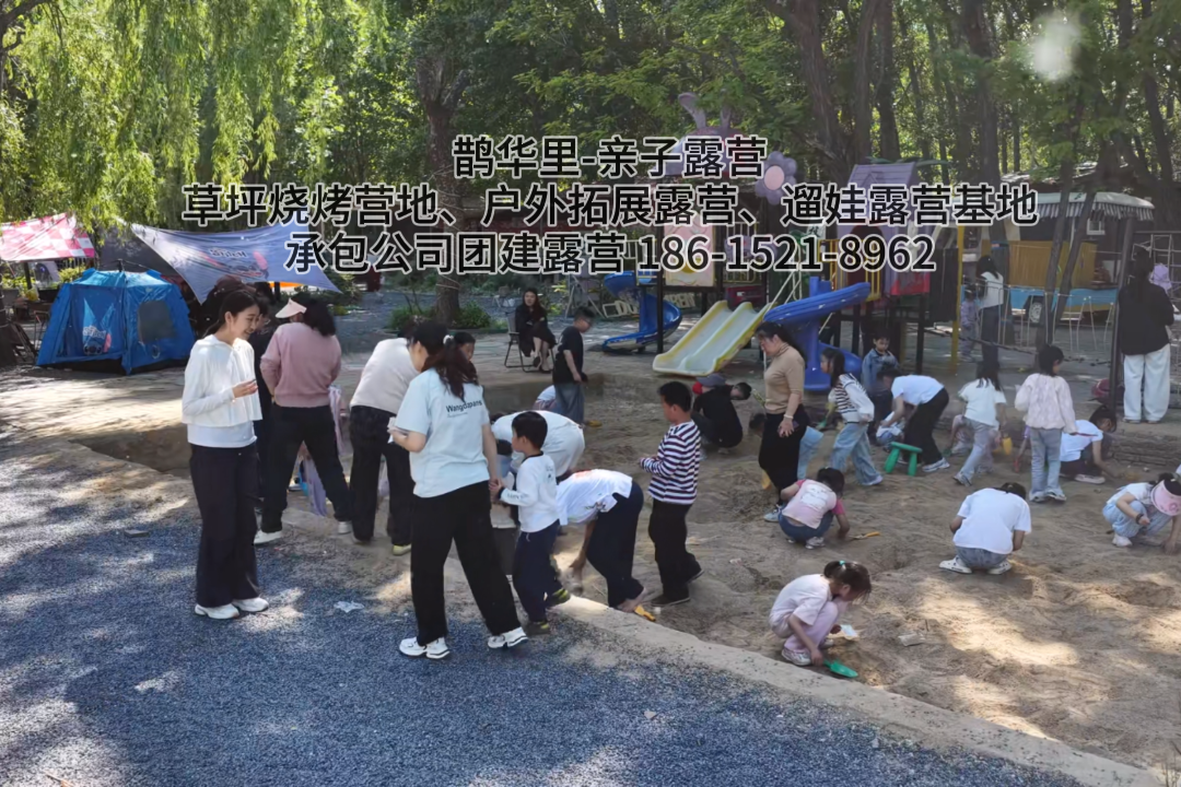 萌宠互动乐园