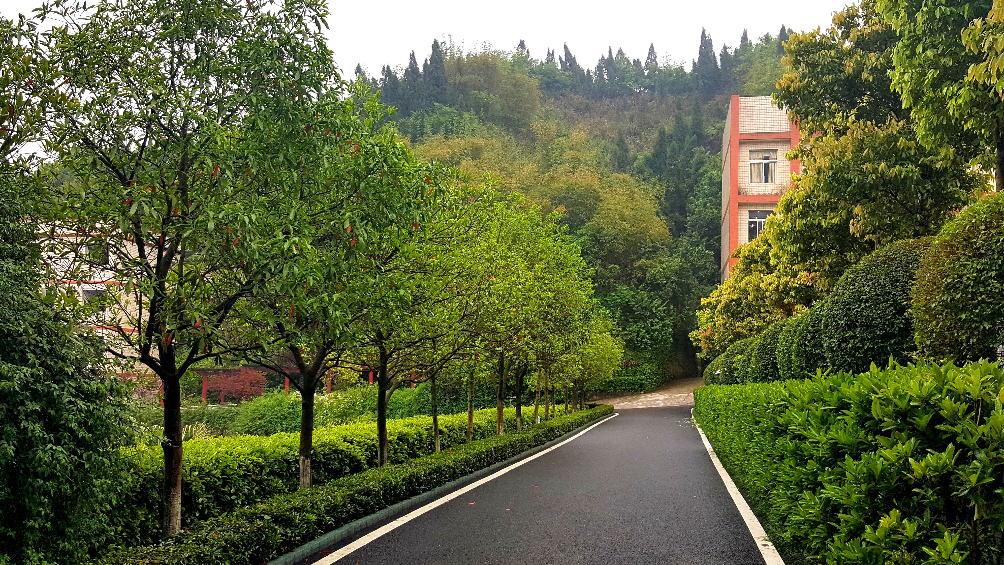 20160420_105956(1)_看图王.jpg