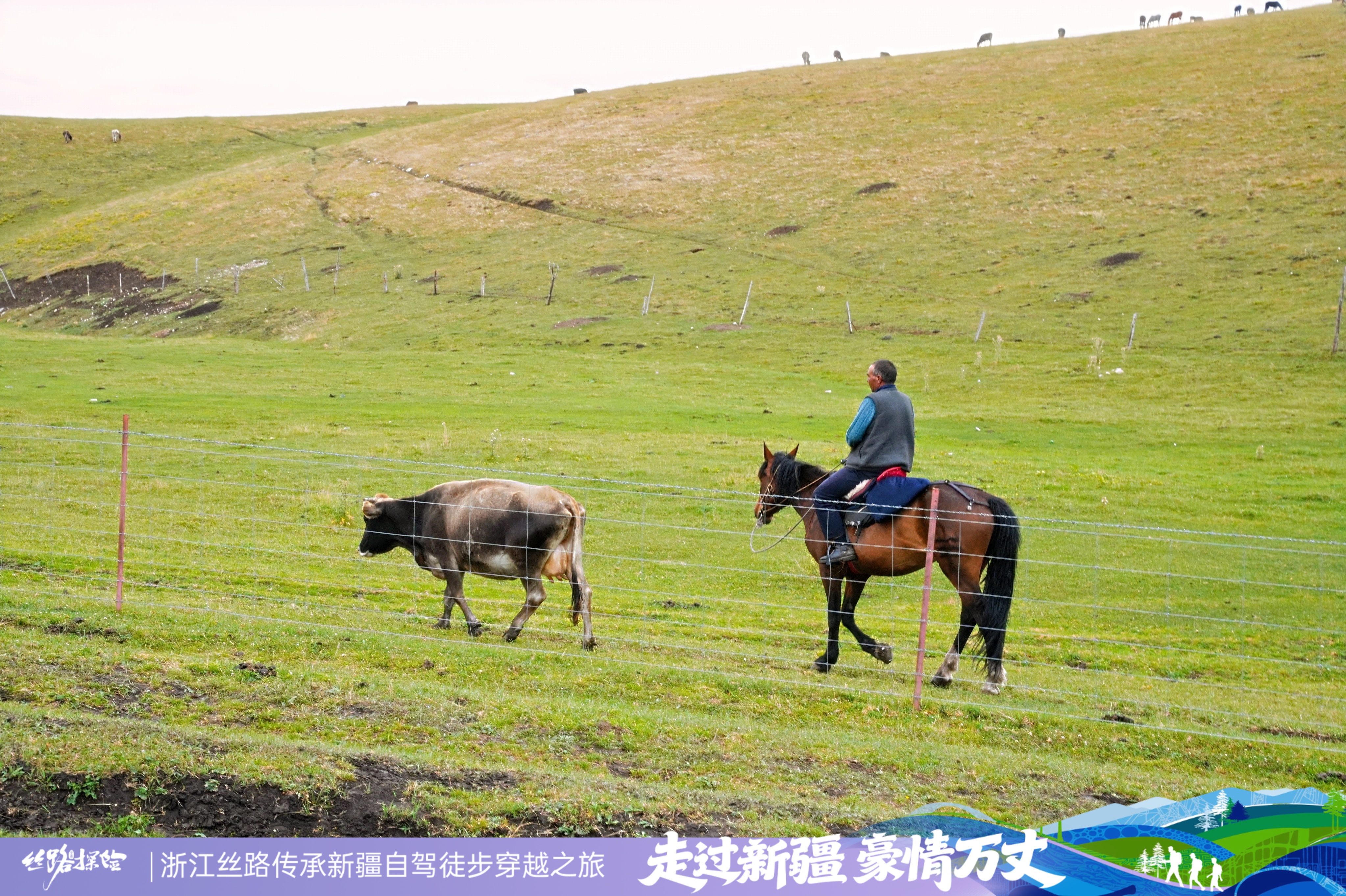 成功挑战后的荣誉时刻