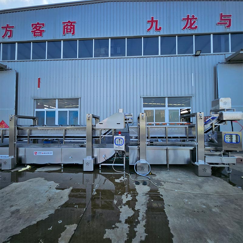 藥材漂燙機工作示意圖