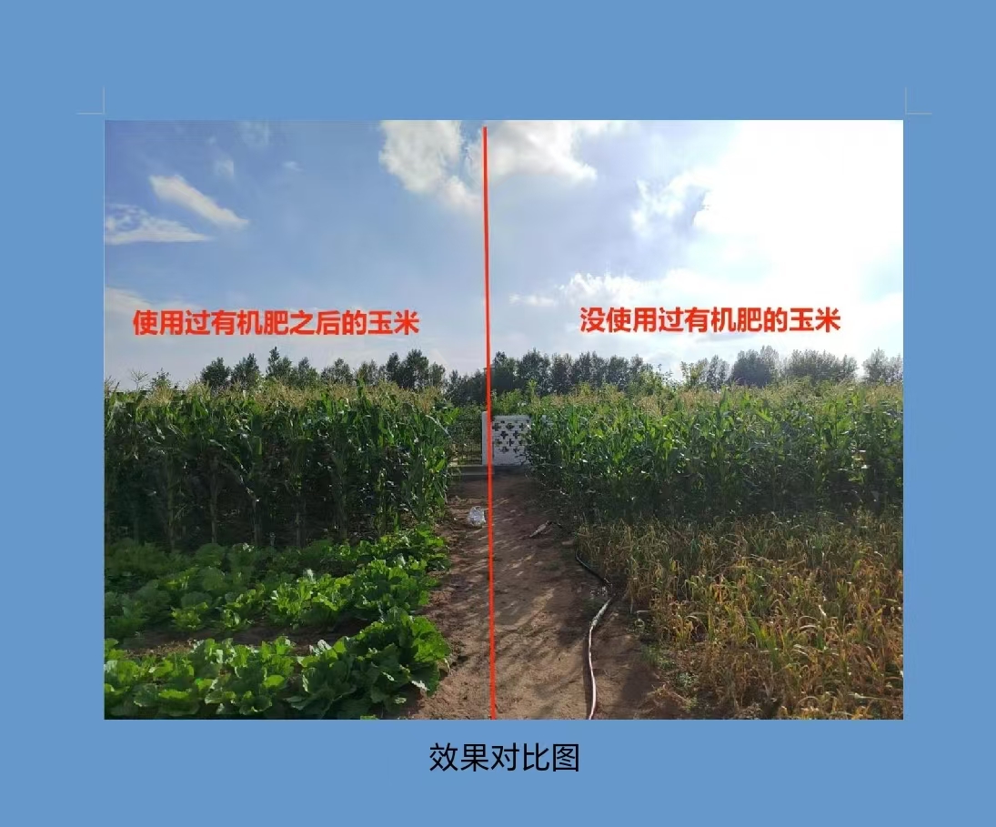 土壤改良效果示意