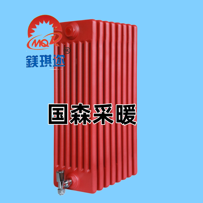 椭圆管五柱散热器产品示意